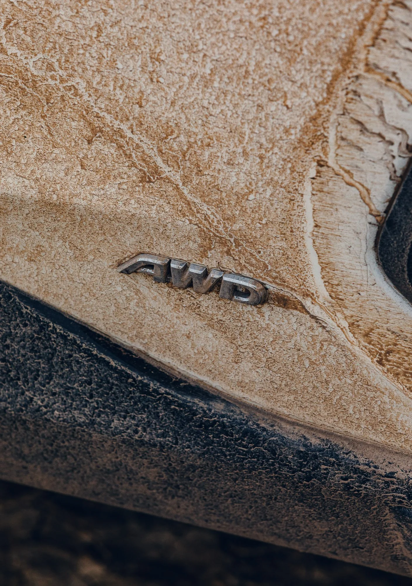 RAV4-5.jpg