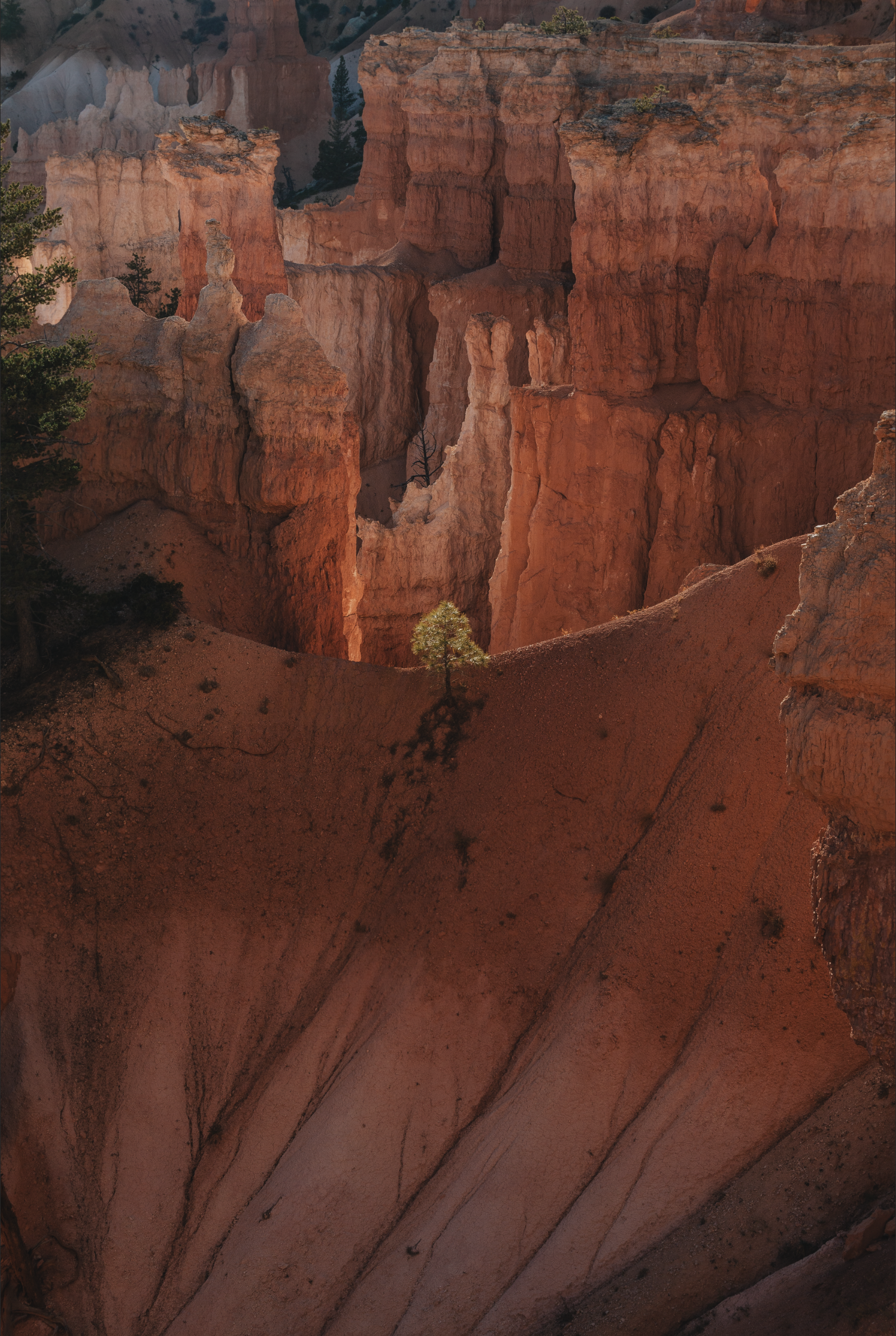 Screen Shot 2019-04-18 at 1.45.44 PM.png