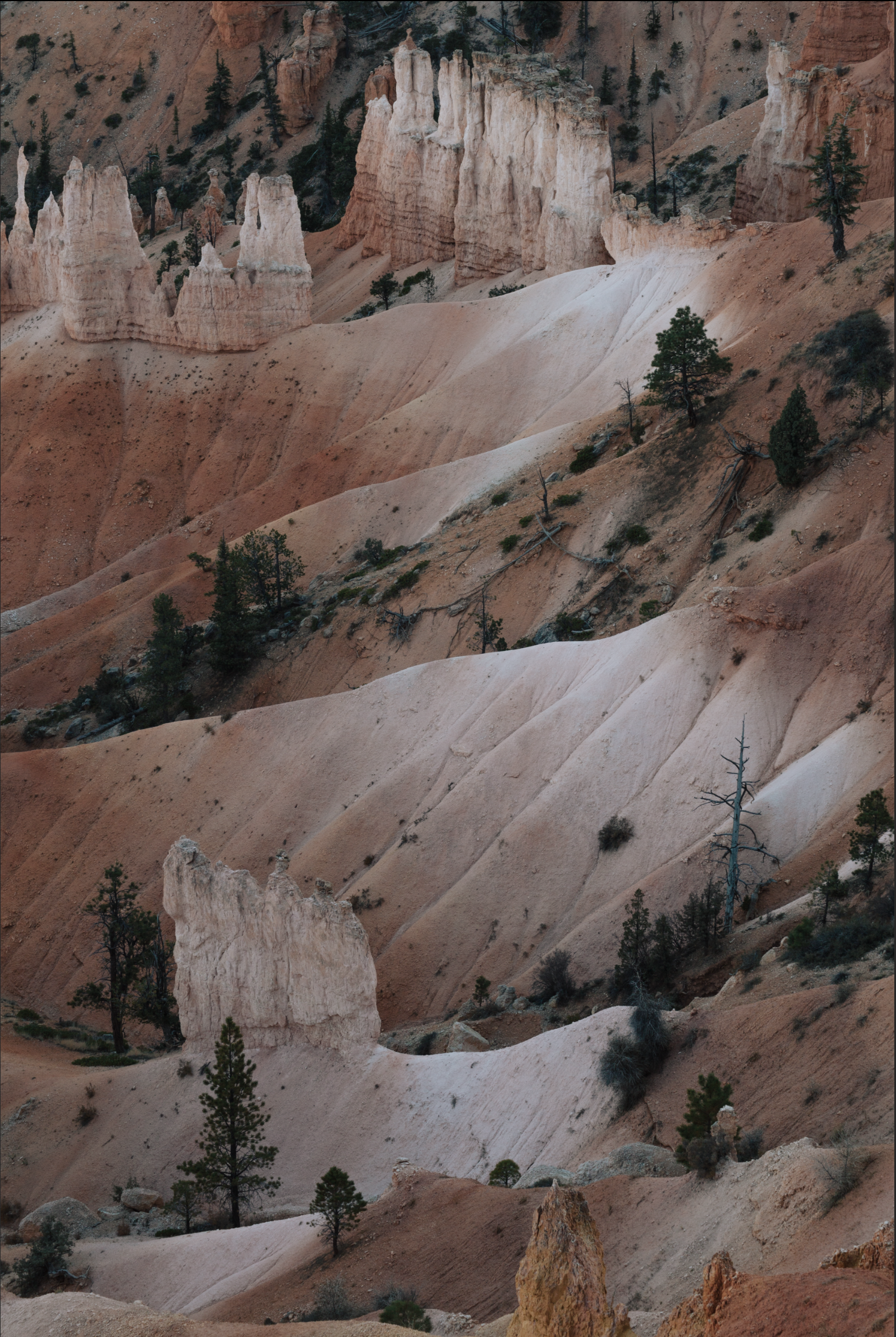 Screen Shot 2019-04-18 at 1.46.26 PM.png