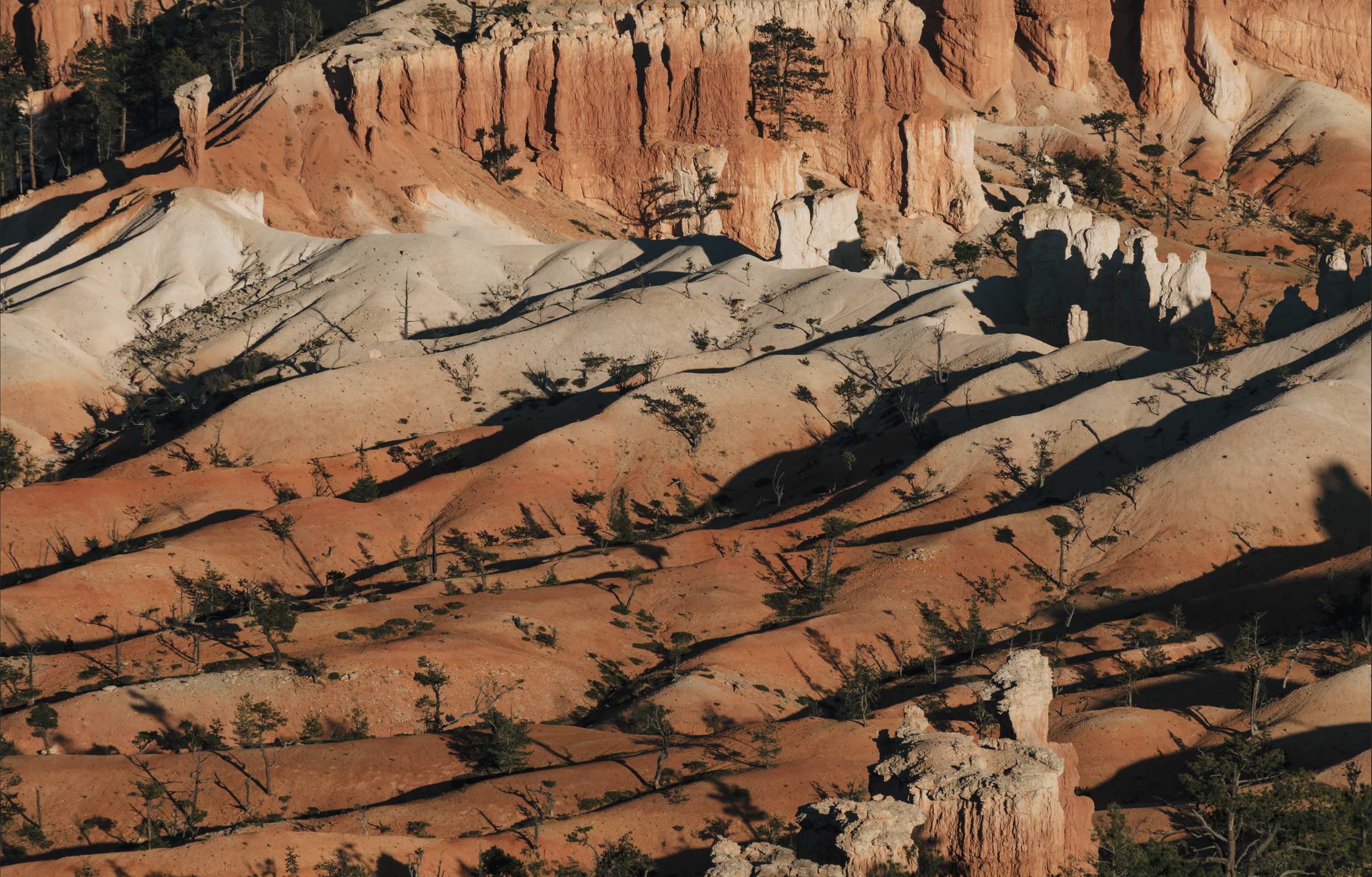 Screen Shot 2019-04-18 at 1.46.13 PM.png