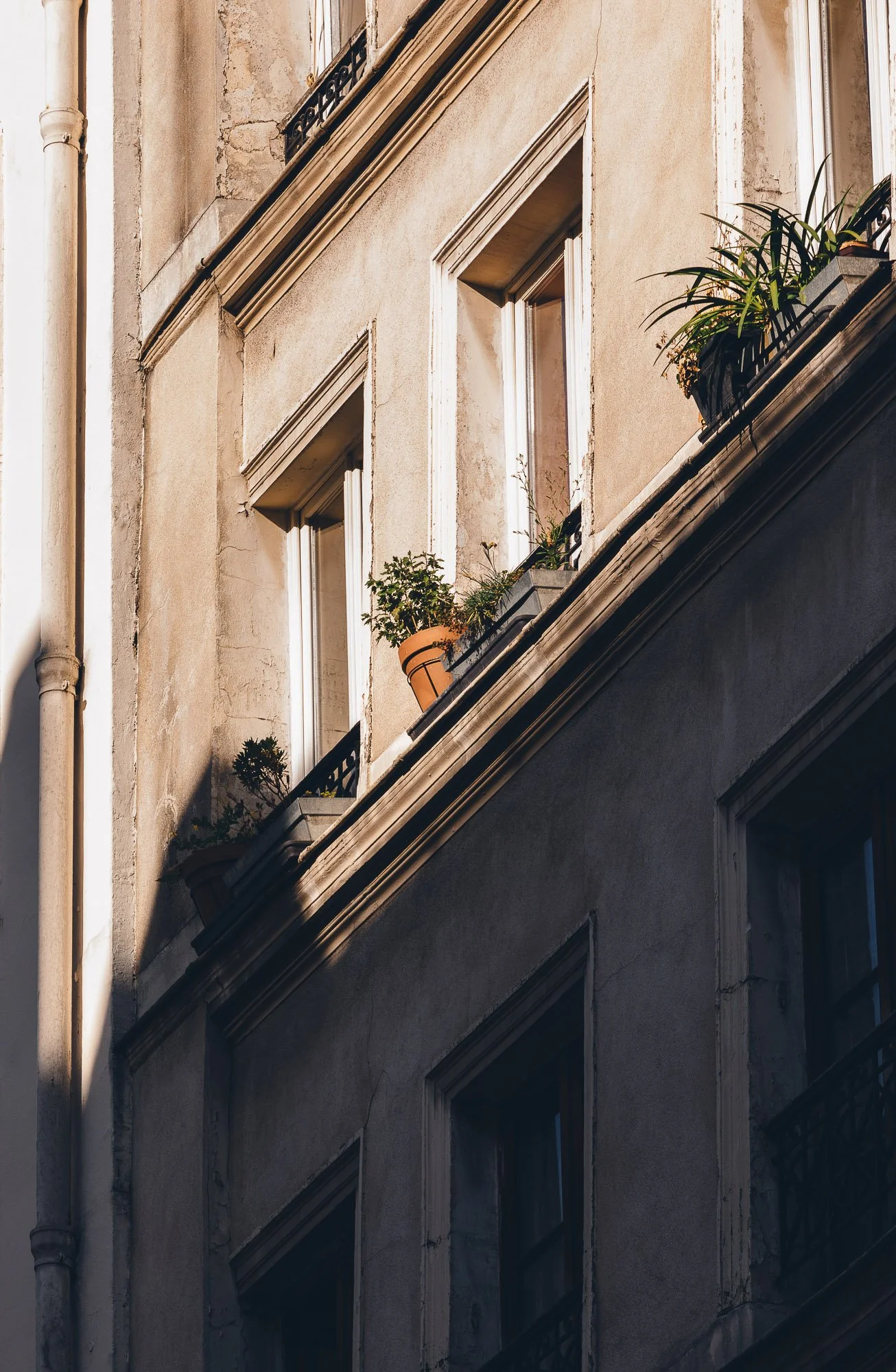 Afternoon In Paris-5.jpg