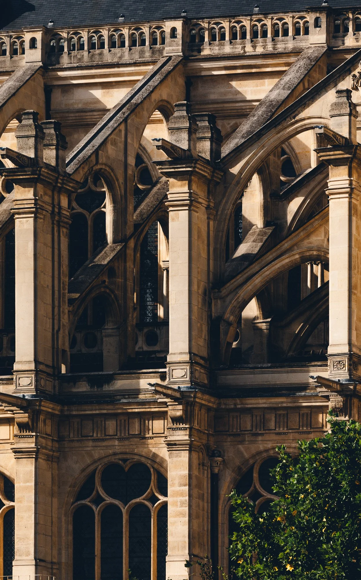 Afternoon In Paris-3-2.jpg