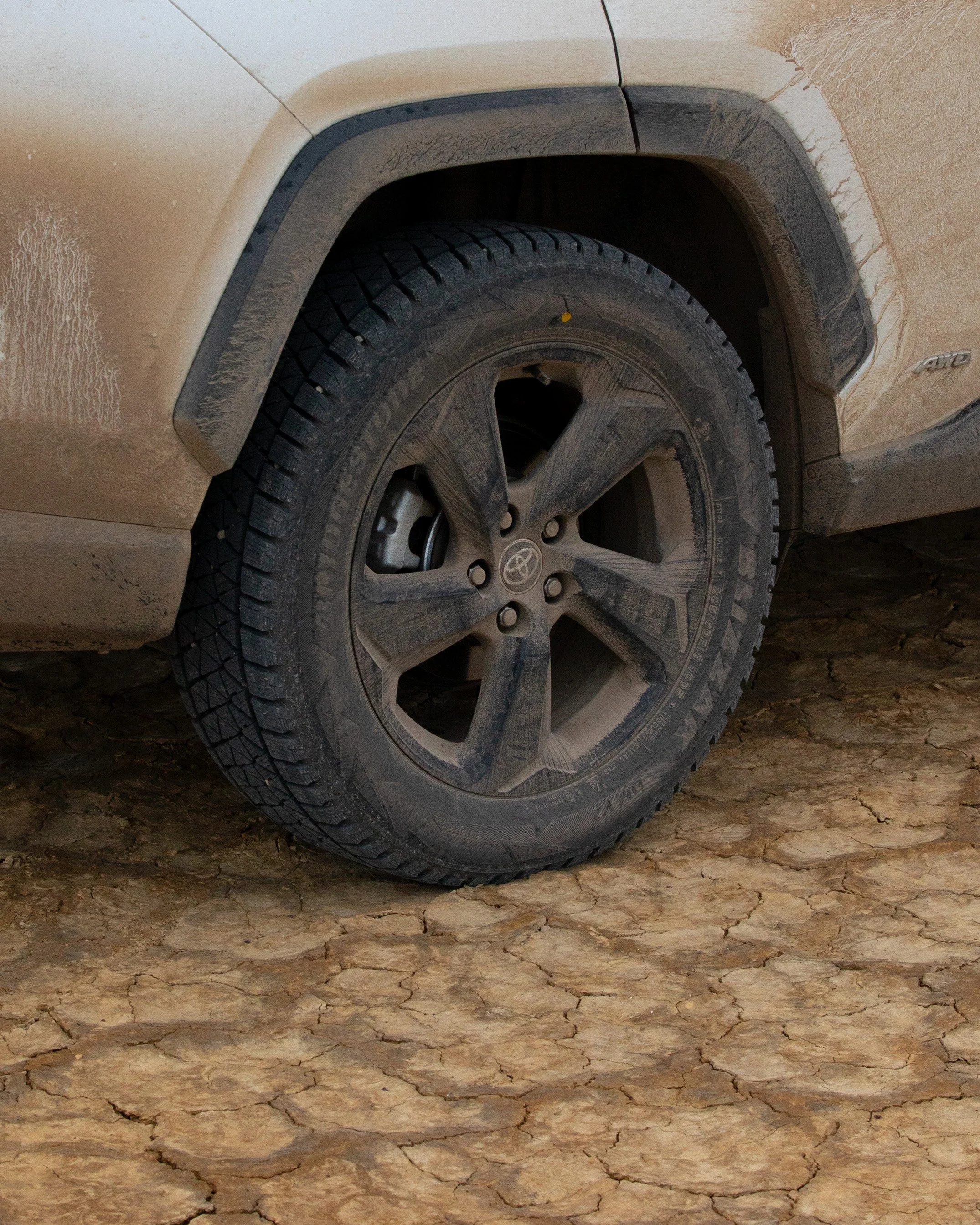 RAV4-6-2.jpg