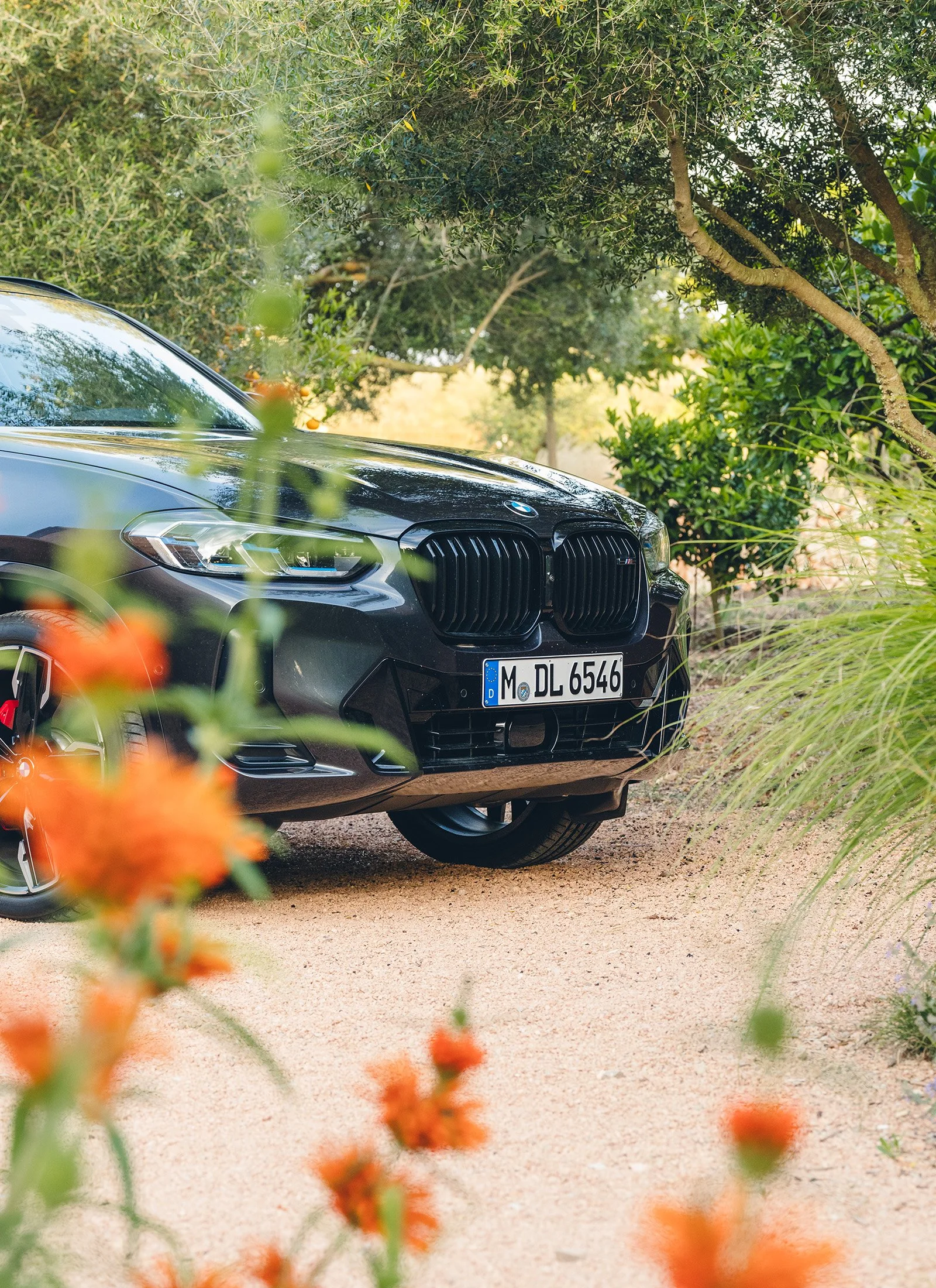 BMW X4-17.jpg