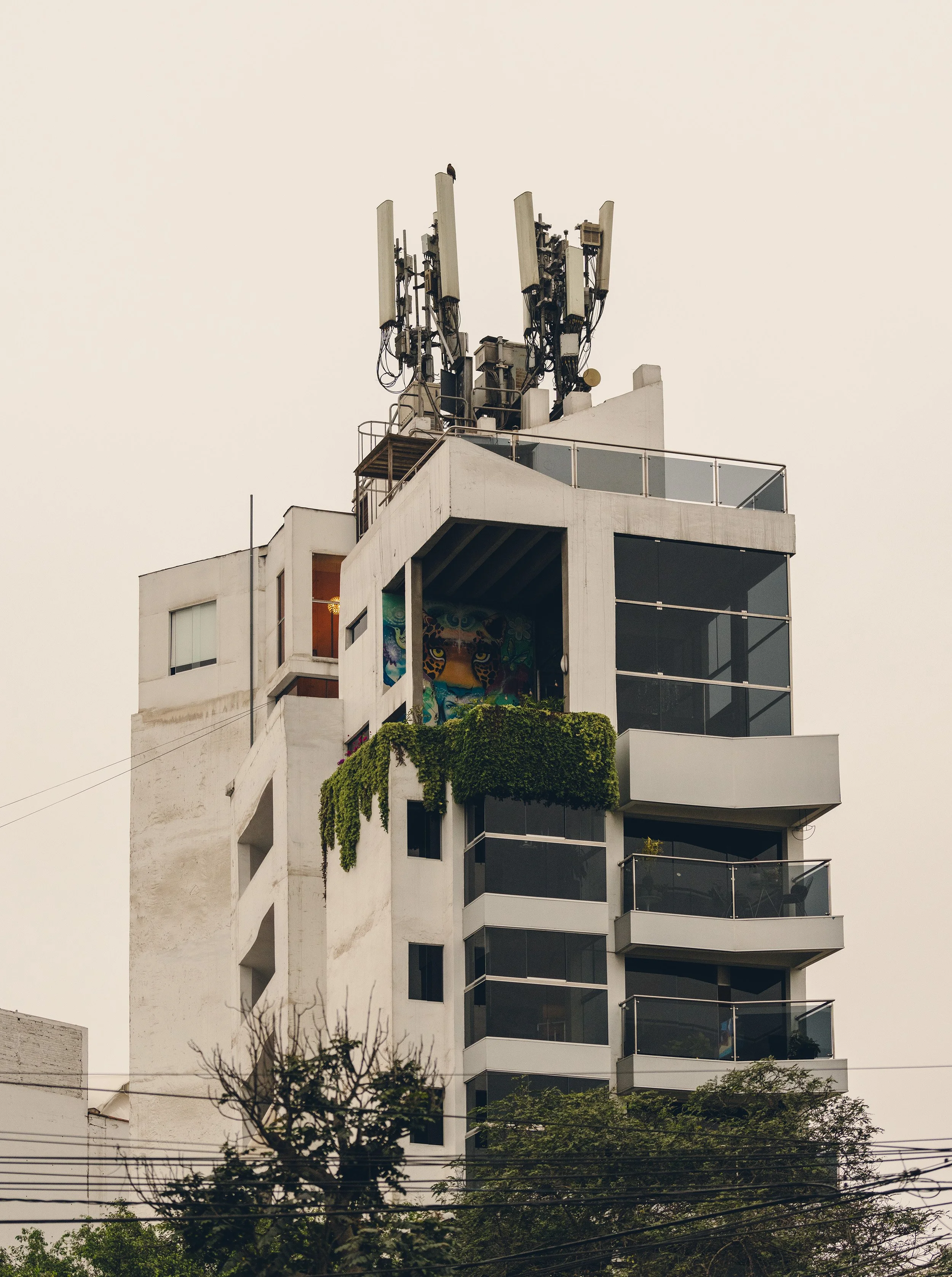 El Pulpo-25.jpg