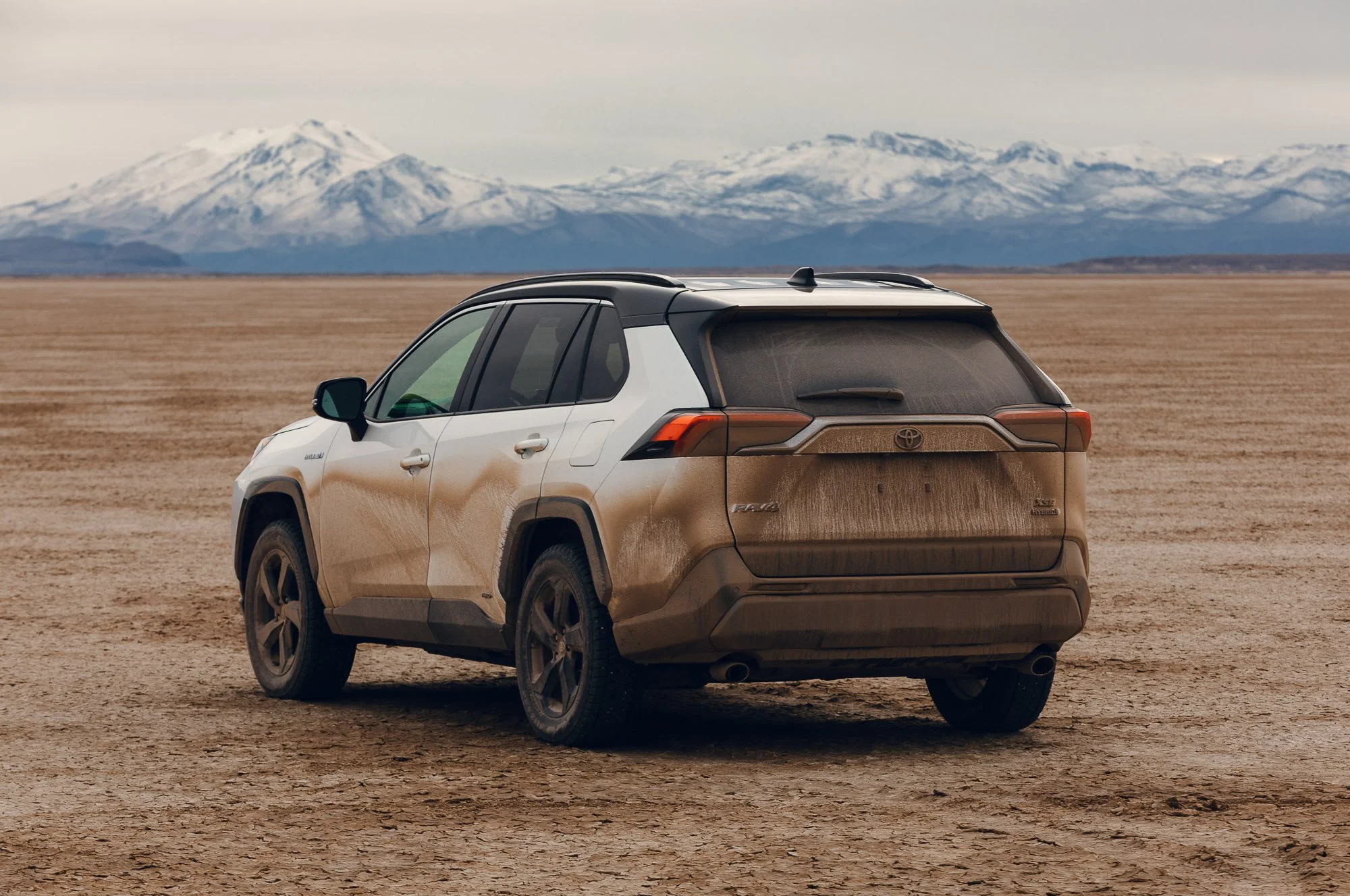 RAV4-8.jpg