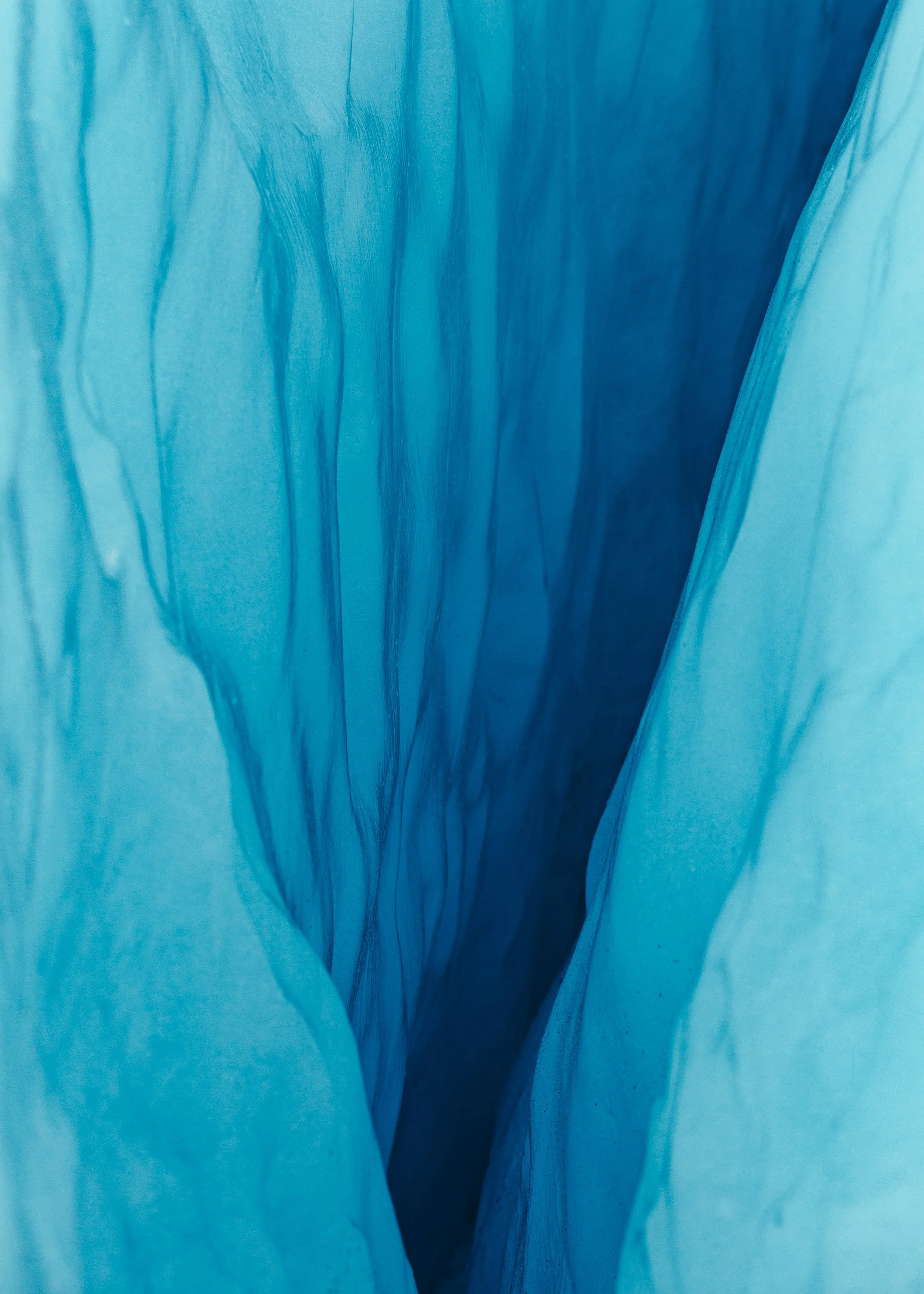 Glacier Walk-38.jpg