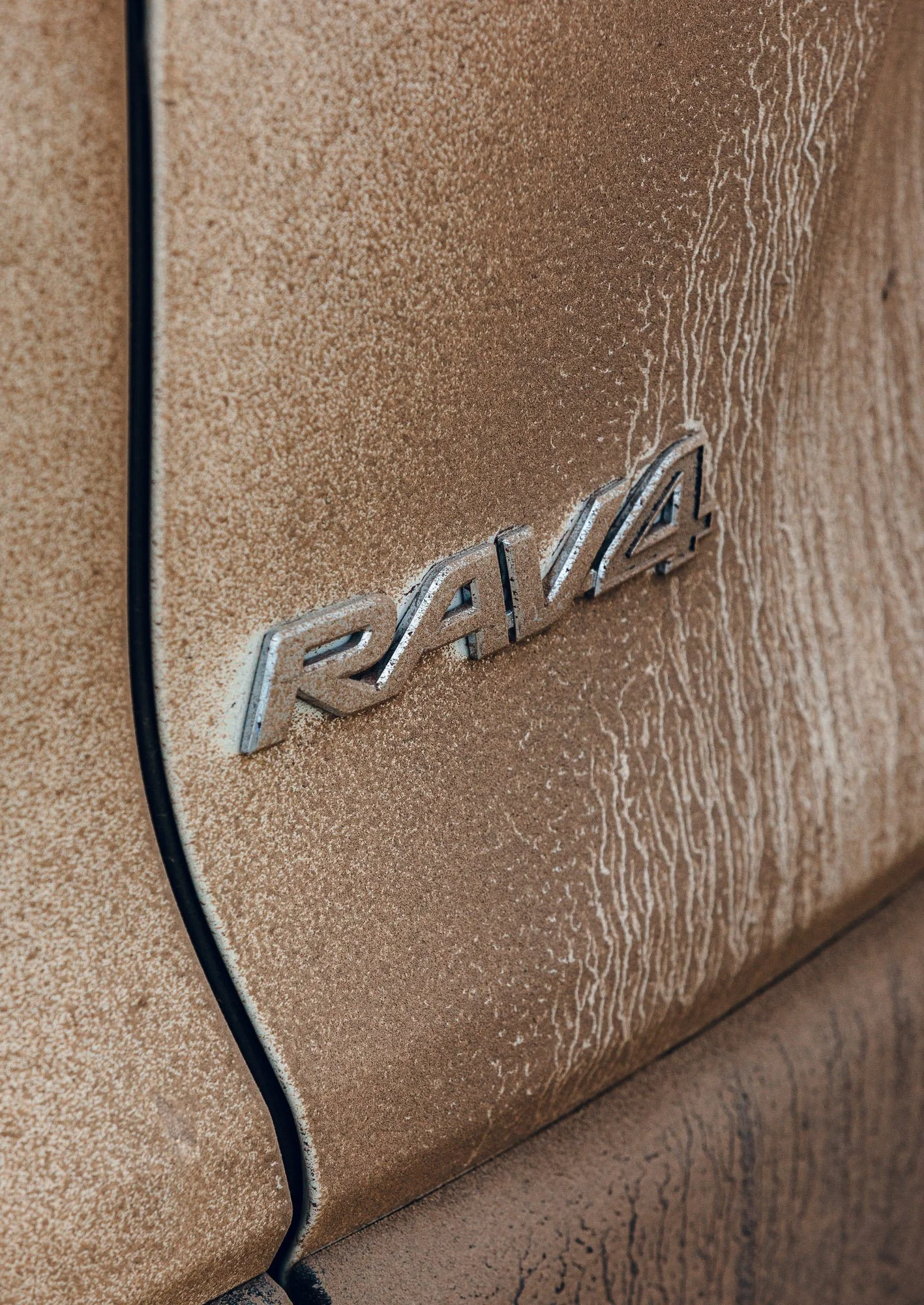 RAV4-3.jpg