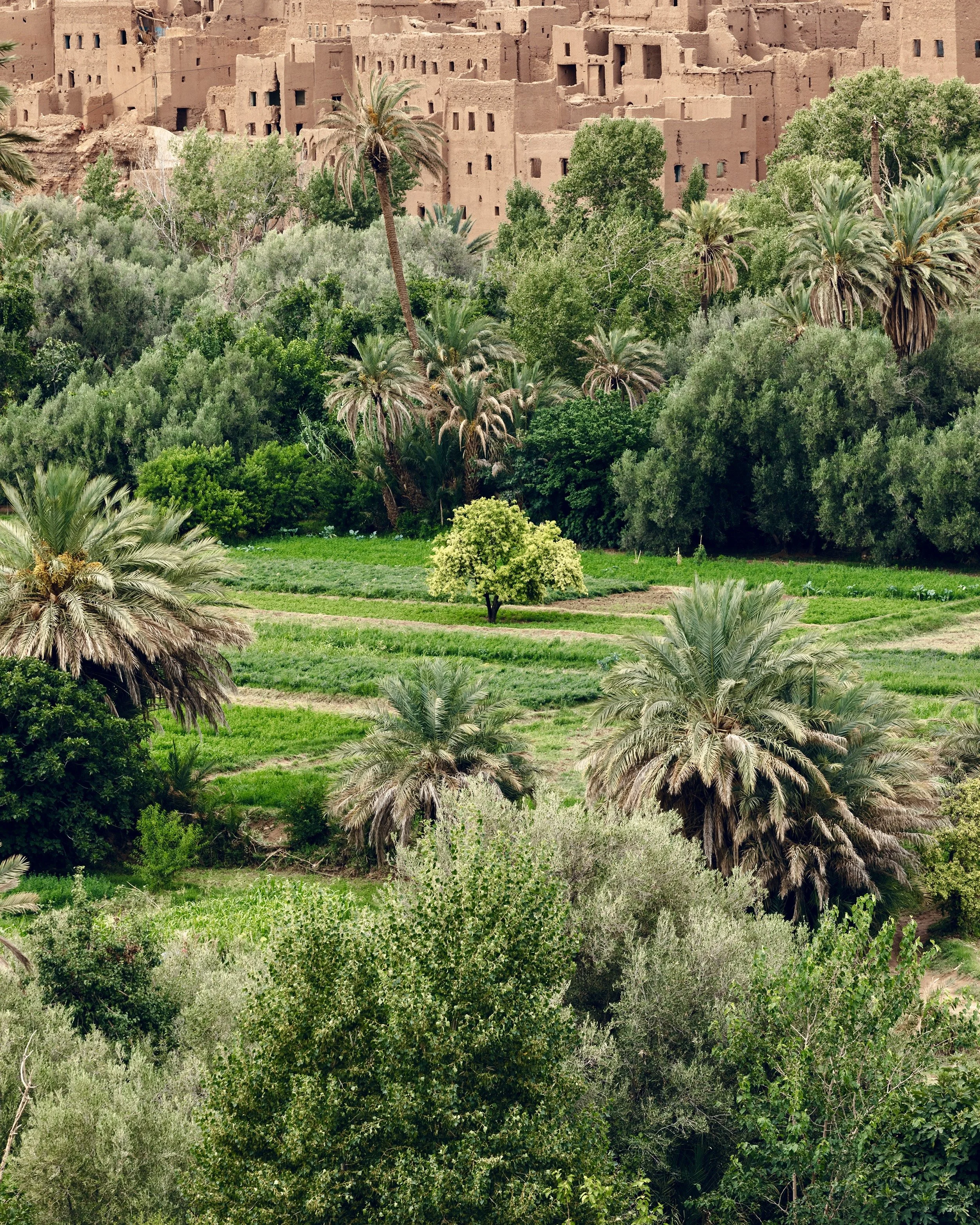 Maroc-42.jpg