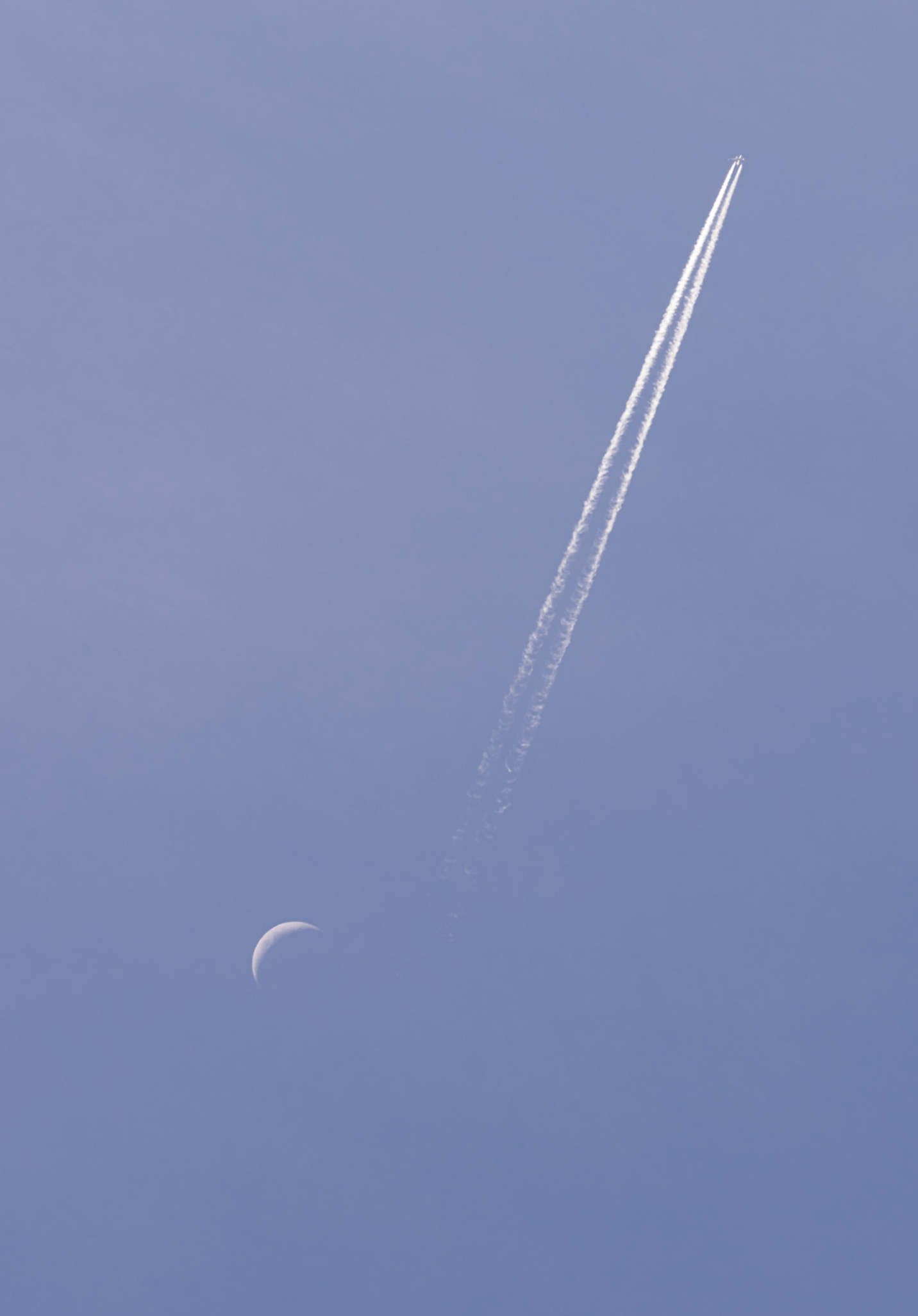 Screen Shot 2025-03-18 at 5.21.21 PM.png