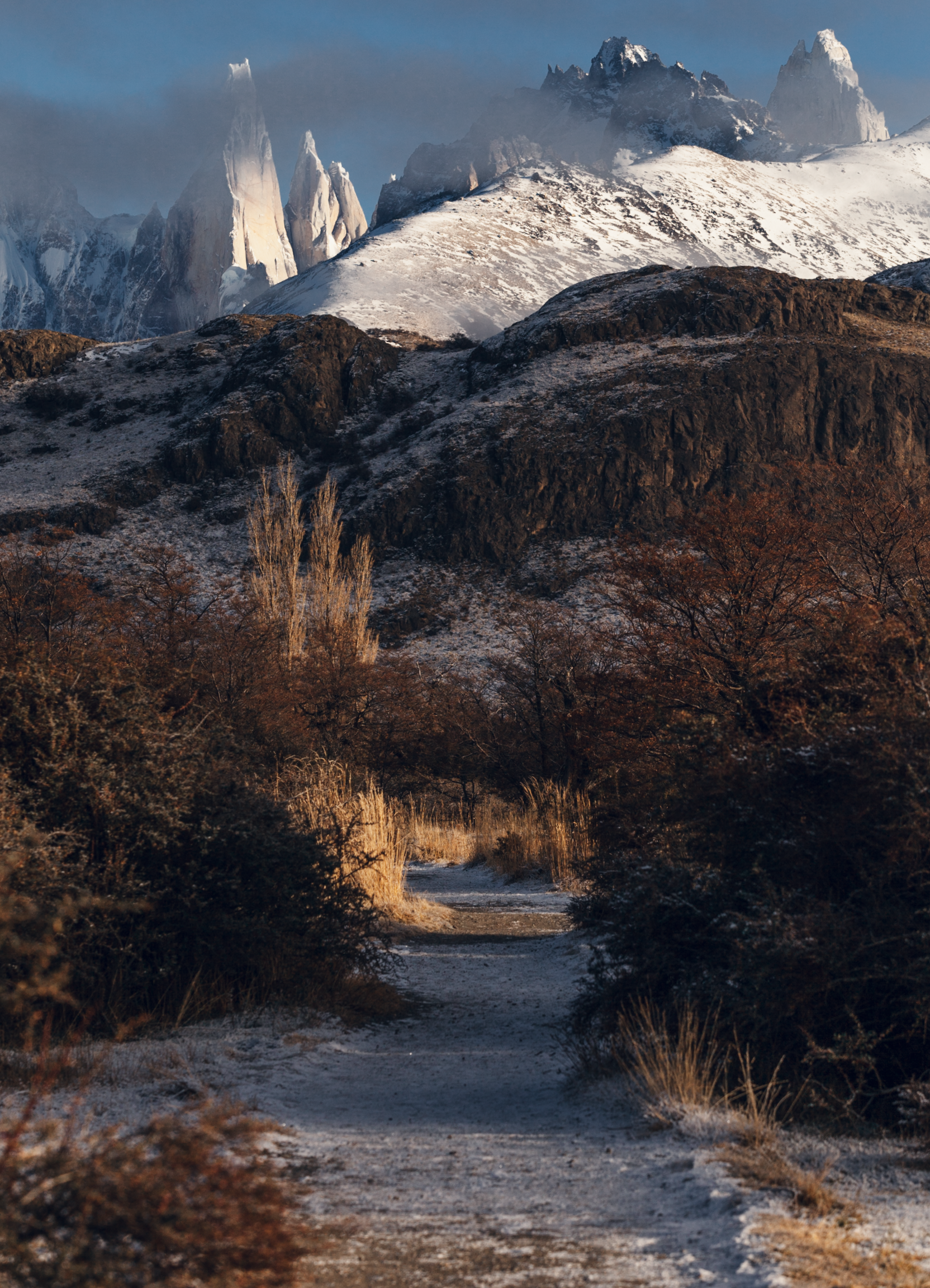 Screen Shot 2026-02-25 at 4.42.57 PM.png