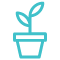 sprout.png
