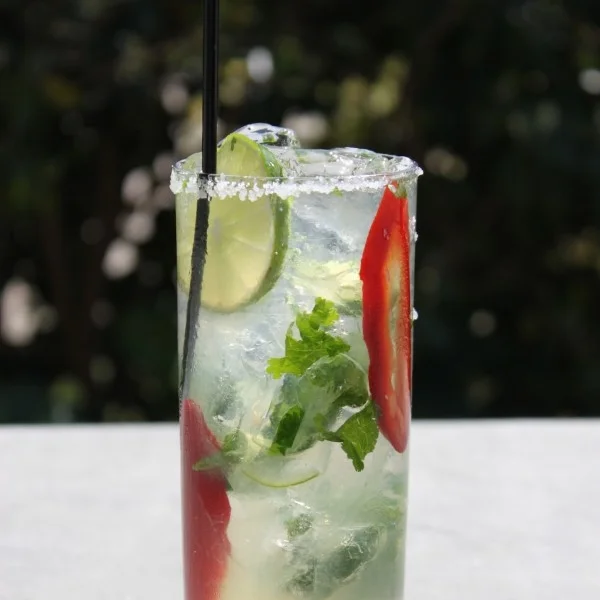 Tequila! Tequila Salmon and Cilantro Margarita