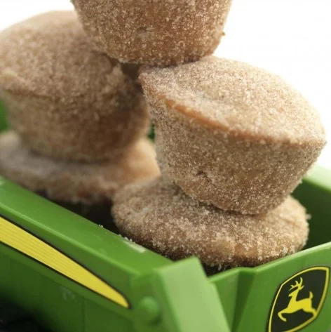 Lulu's Cinnamon Bites 