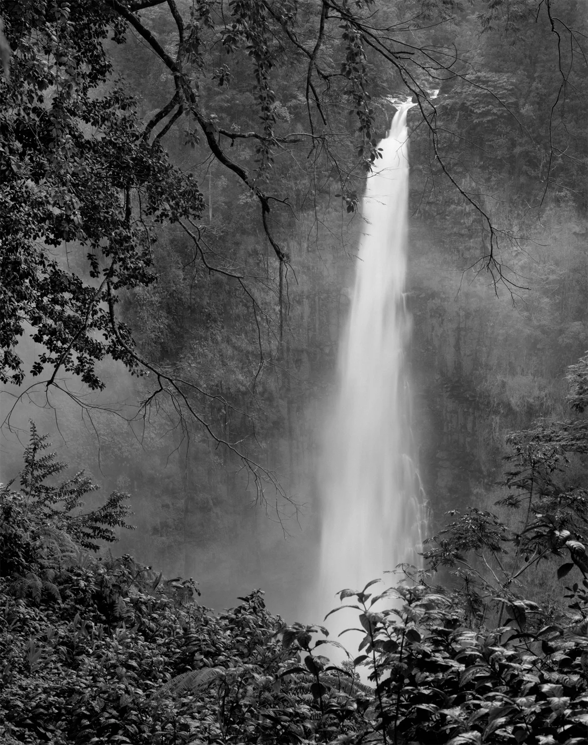Akaka Falls