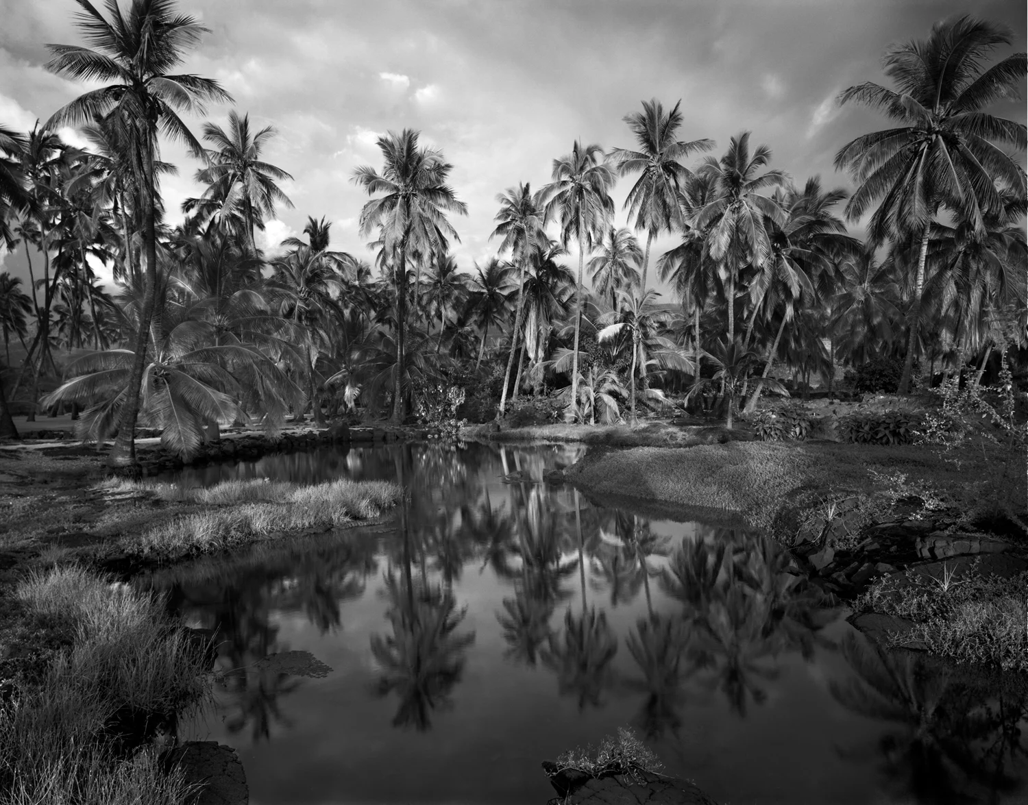 Palms, City of Refuge