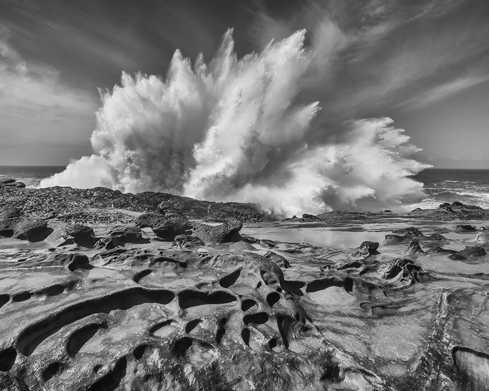 Wave, Shore Acres, Upper Shelf