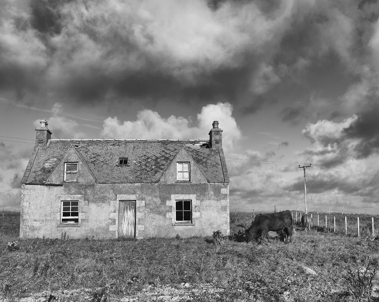 House &amp; Cow, North Uist, Scotland #3726