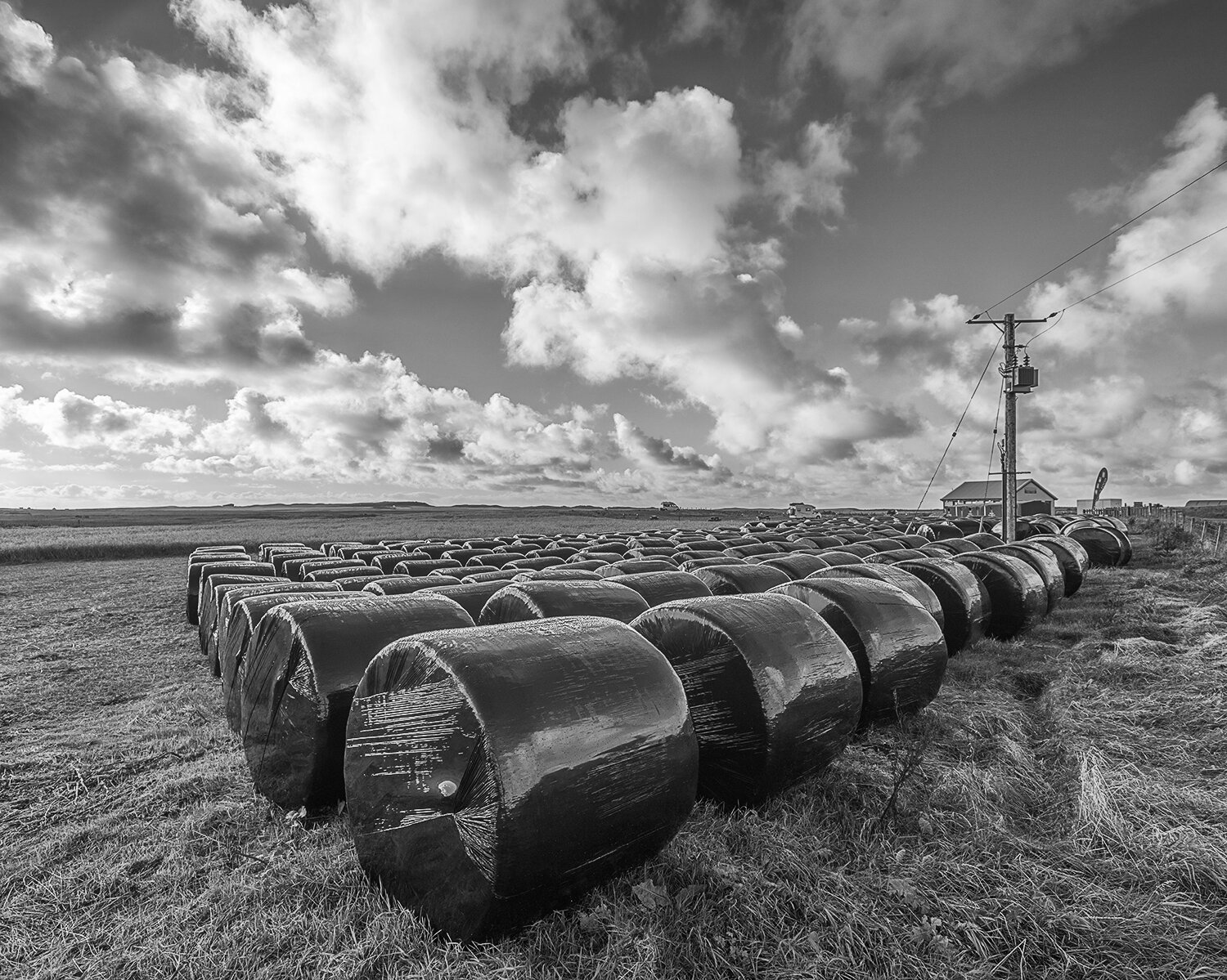Hay Bales, North Uist, Scotland, #3738