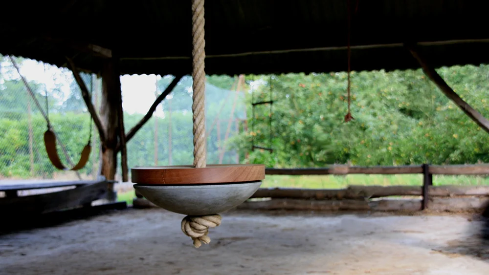 RoN_Object04_WEB_Swing_01.jpg