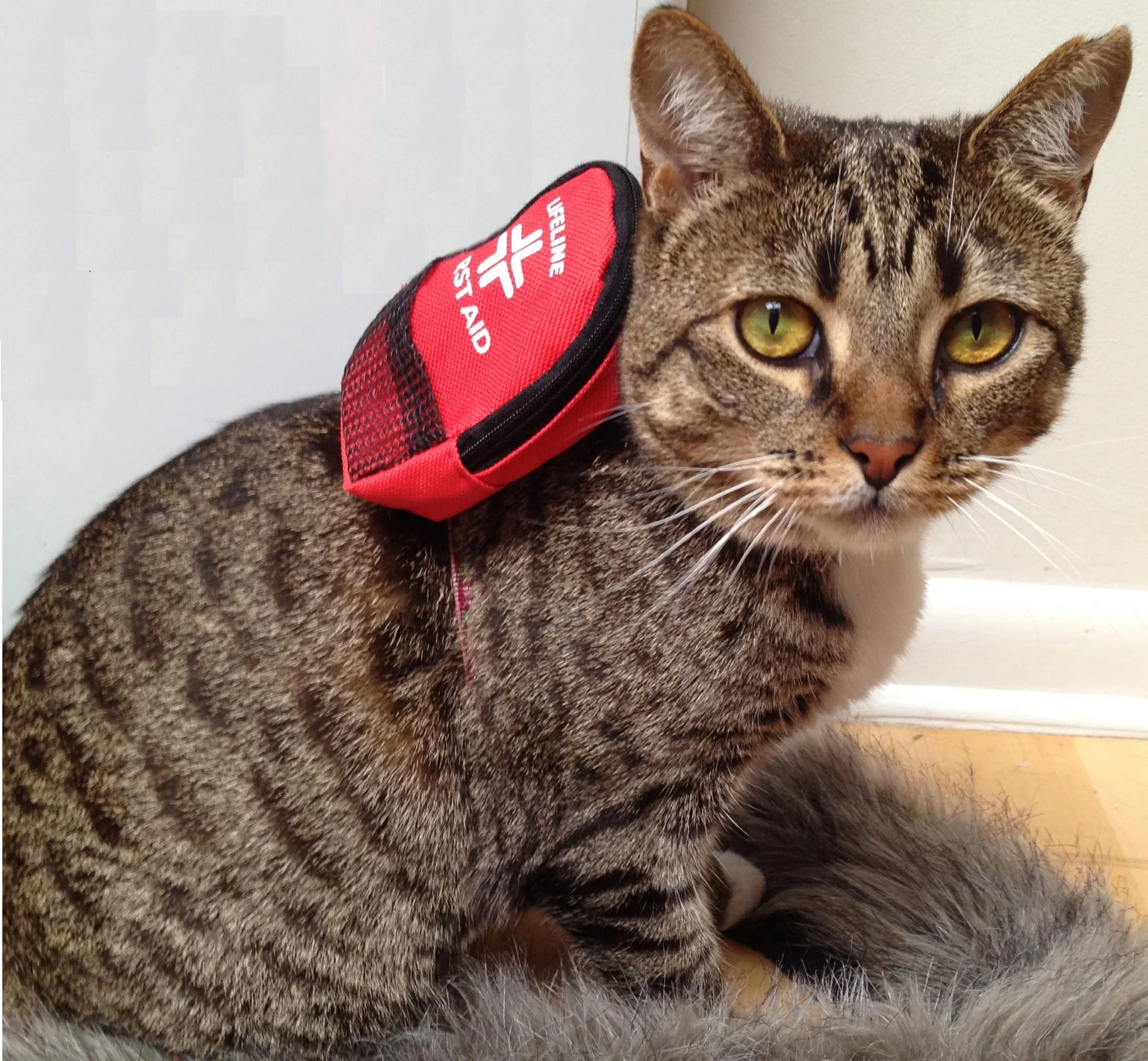 Nurse Miep Hi res.JPG