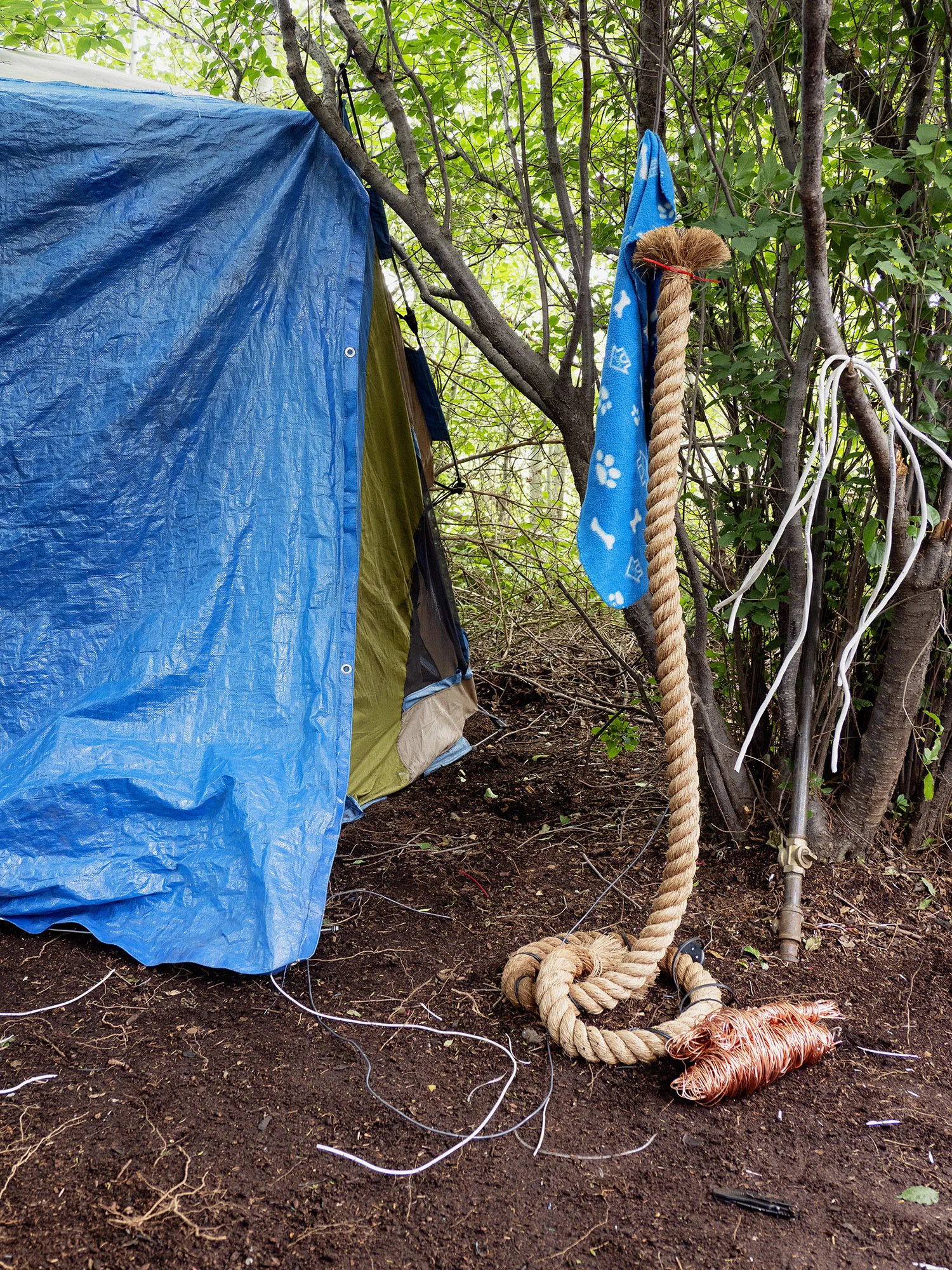 Evidence of Habitation_06.jpg