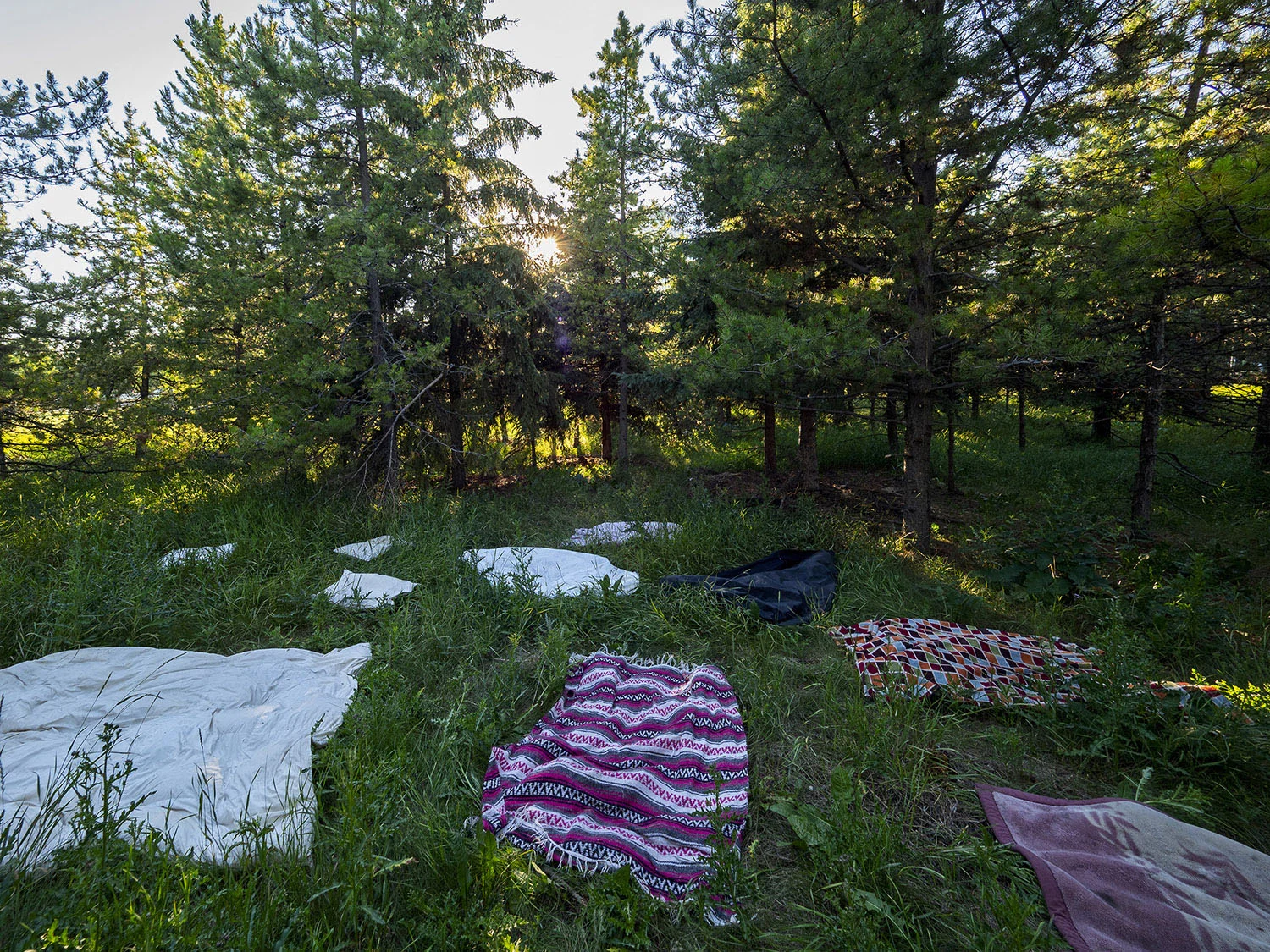 Evidence of Habitation_09.jpg