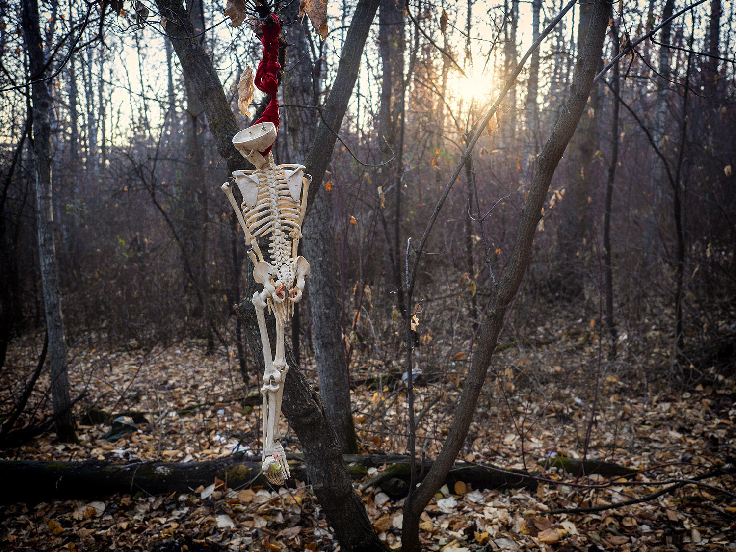 Evidence of Habitation_11.jpg