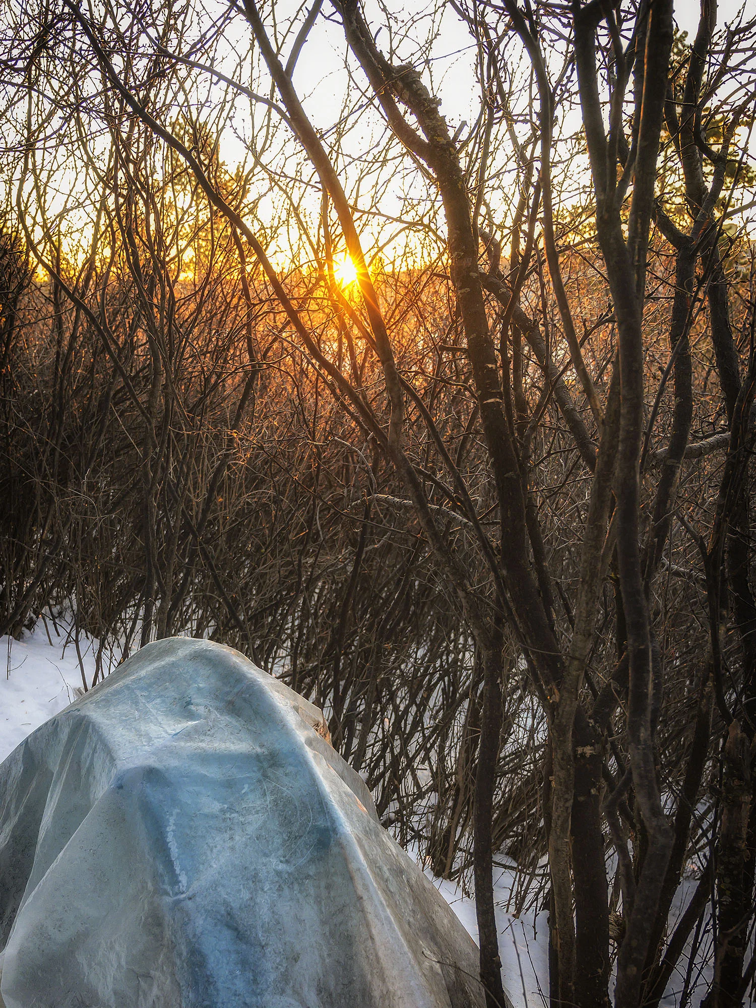 Evidence of Habitation_13.jpg