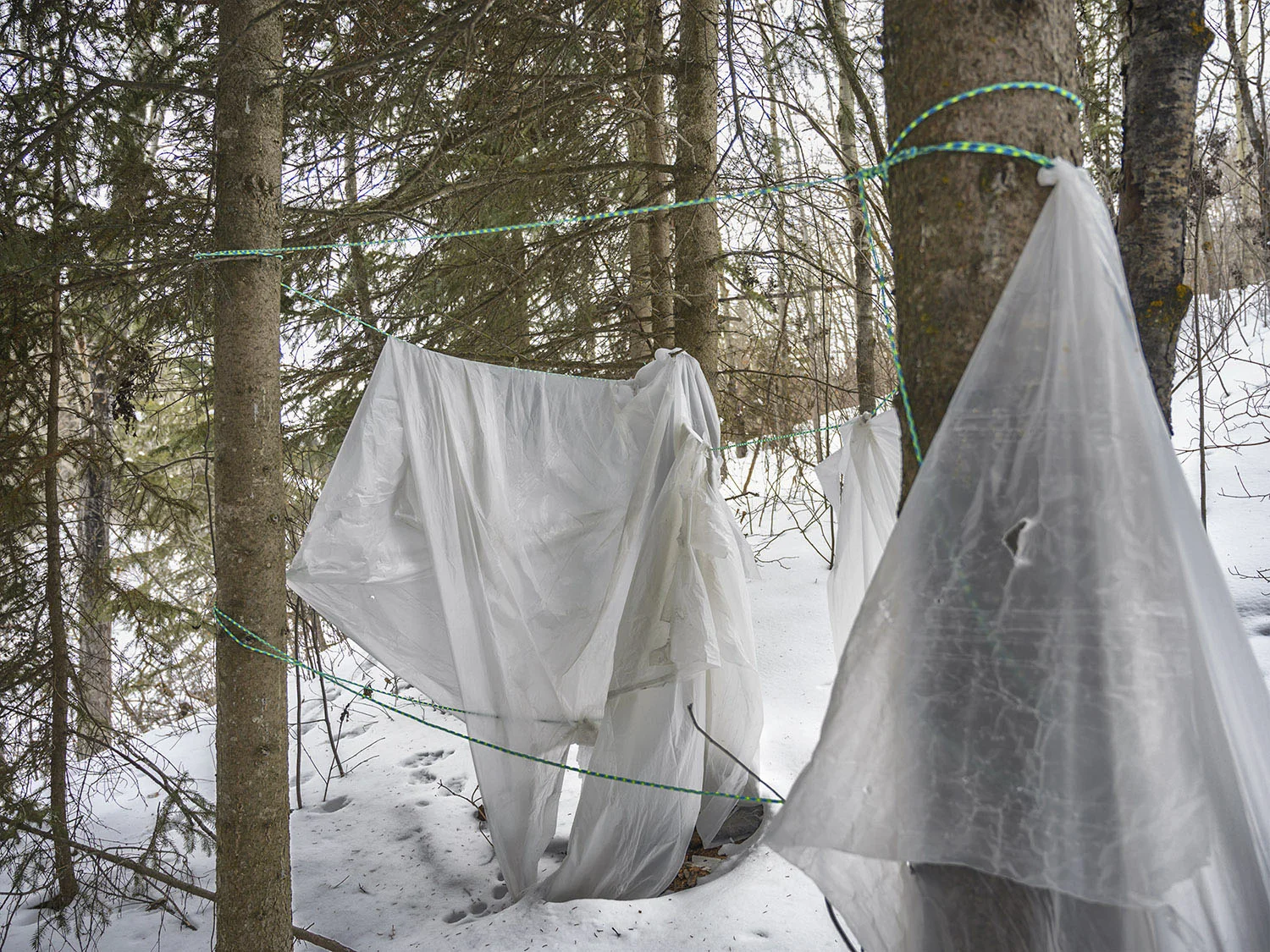 Evidence of Habitation_16.jpg