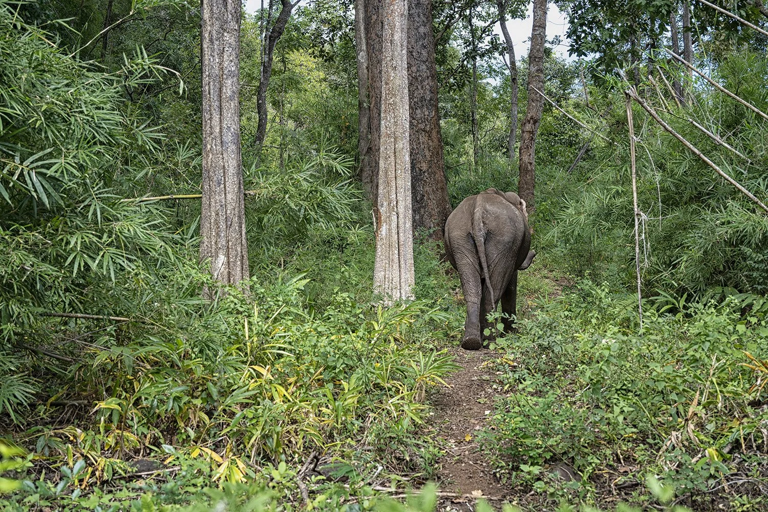 Colour of Cambodia_07.jpg
