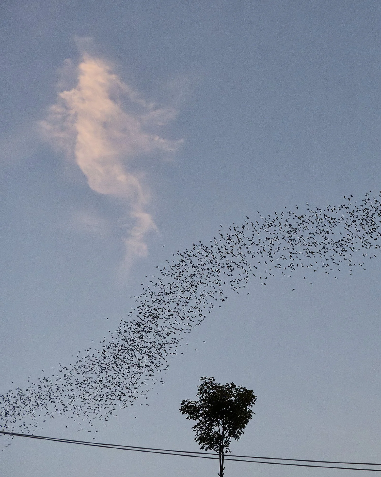 Colour of Cambodia_08.jpg
