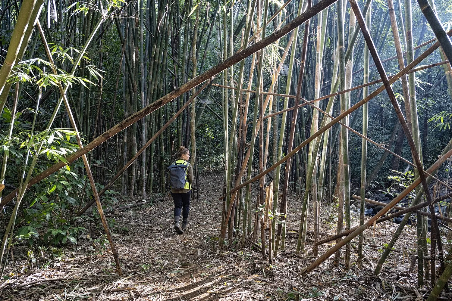 Colours of Cambodia_08.jpg