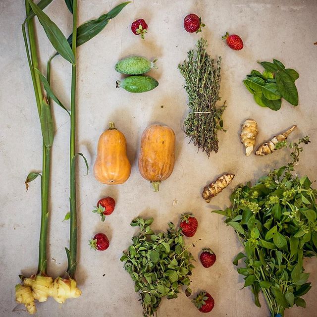 Today's #FarmersMarketHaul 🍓🍉🍒🍍🍊 How many of these can you name?