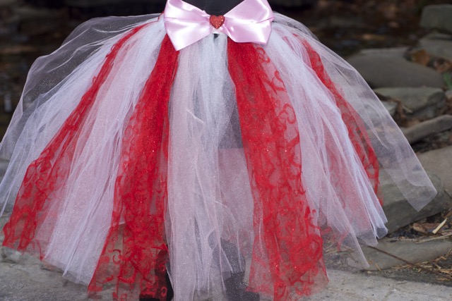 Valentines Tutu