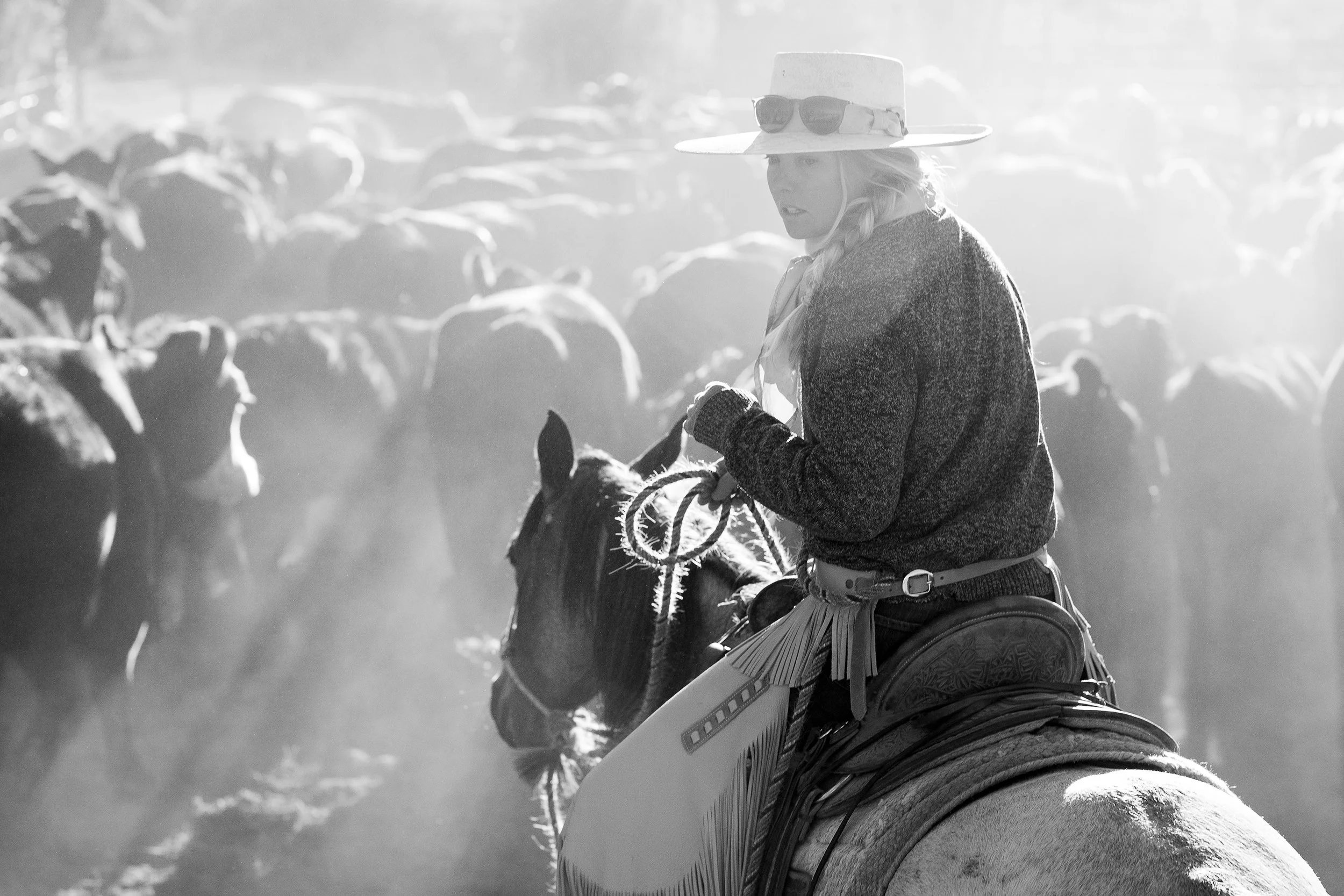 Black and white ranch photograph of a cowgirl on horseback among cattle and dust