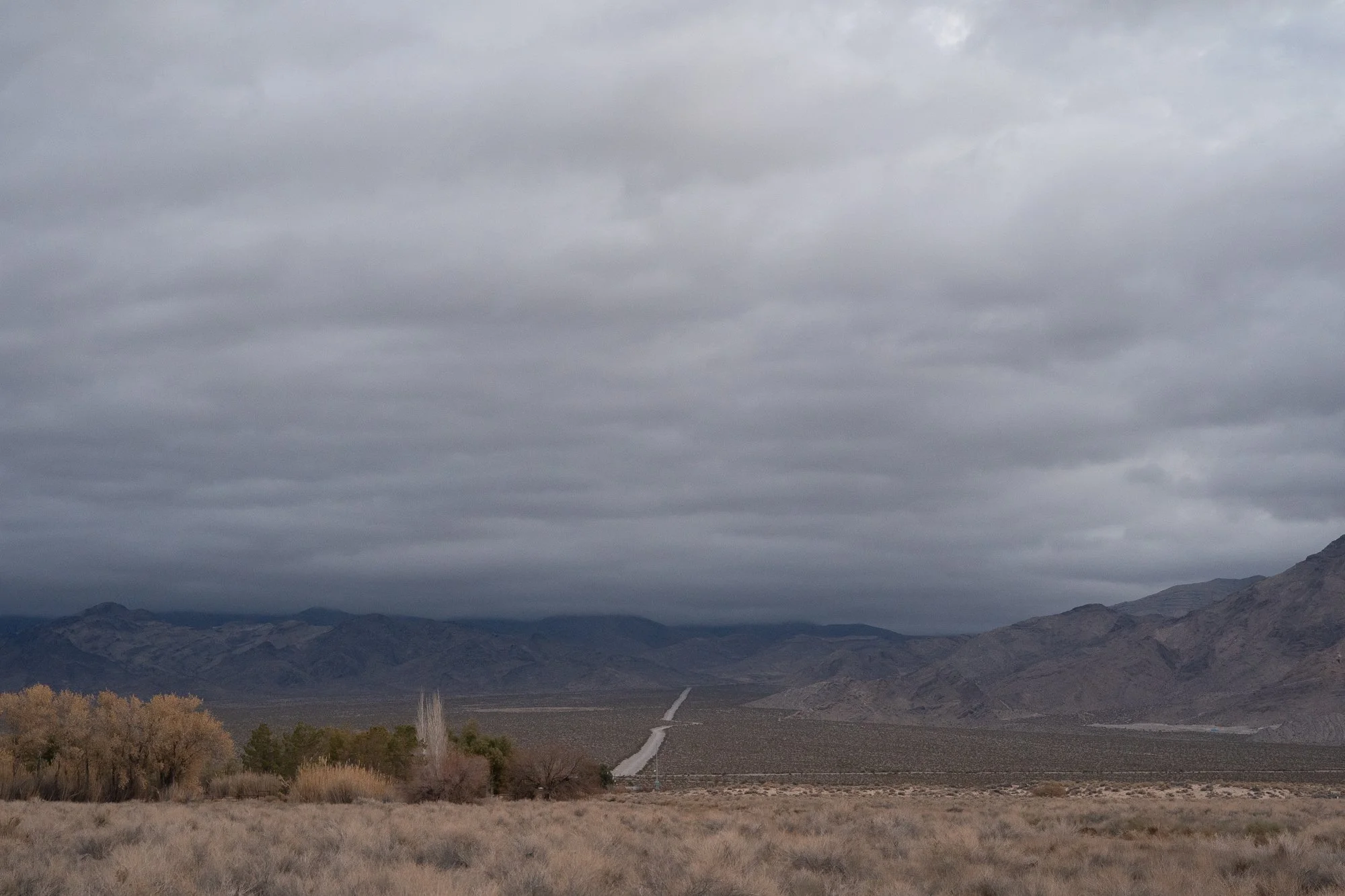 Narrow Nevada desert road cutting straight across a wide open basin under heavy overcast skies, with trees in the foreground and distant mountains on both sides.