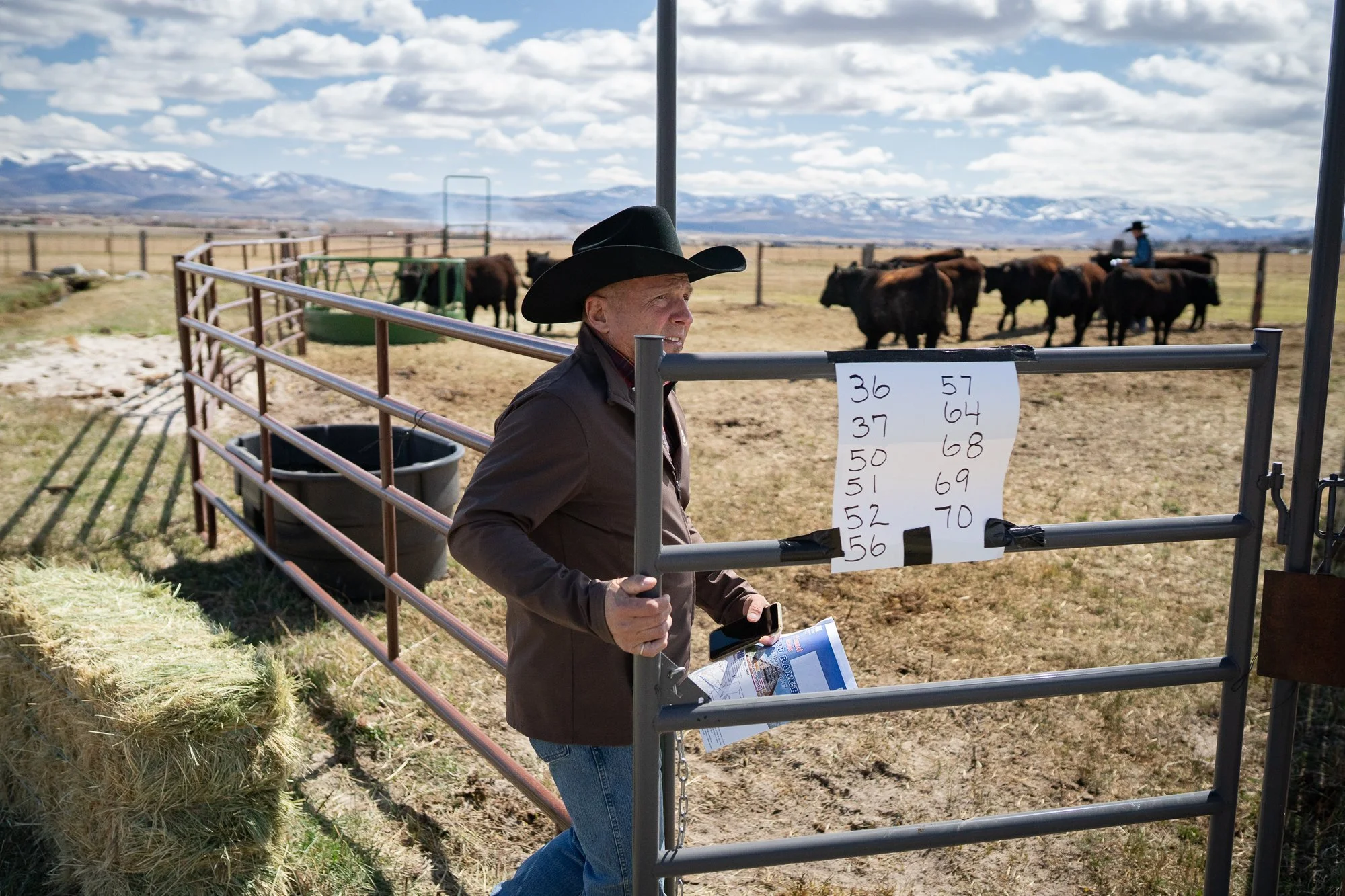 Rancher standing by cattle pens with numbered sale list at a Nevada bull sale