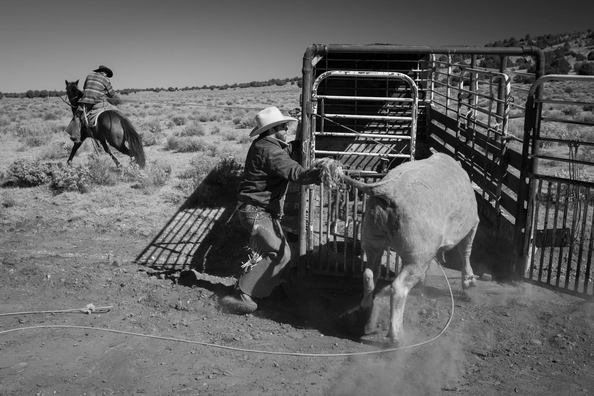 Cowboy handling a roped steer at the gate while another rider works in the background at Diamond A Ranch Arizona