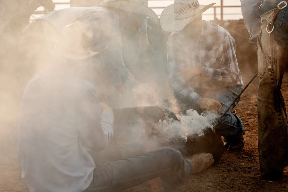 6666 Ranch Photography | Inside the Four Sixes in Texas — Rob Hammer ...