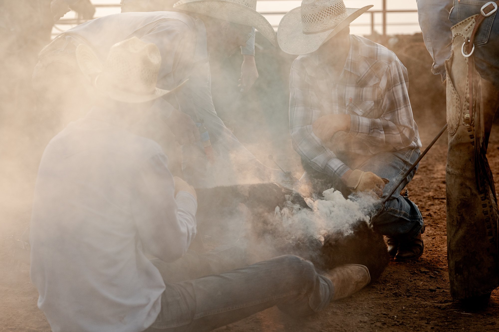 6666 Ranch Photography | Inside the Four Sixes in Texas — Rob Hammer ...