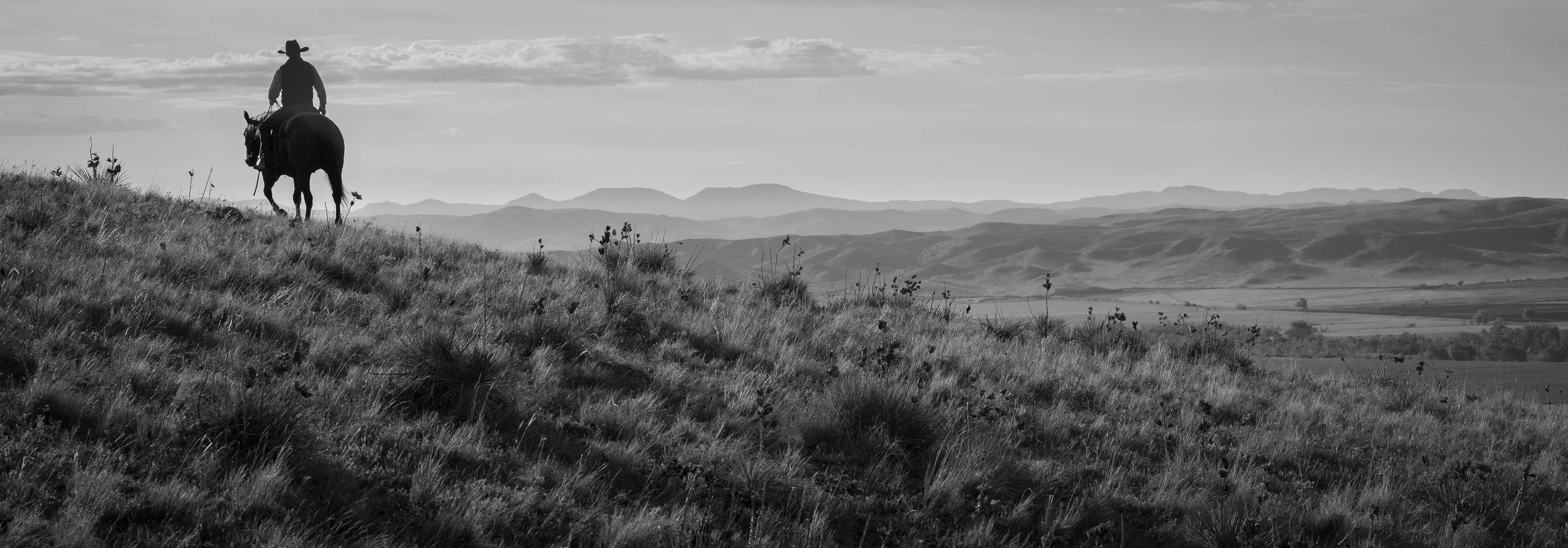 Black and white photograph of a cowboy riding his horse through open range