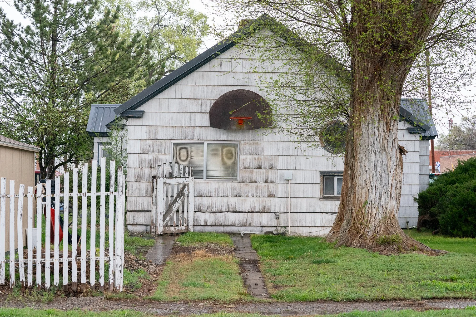 Old basketball hoop mounted on a small house in rural America with weathered siding and a large tree in the yard.