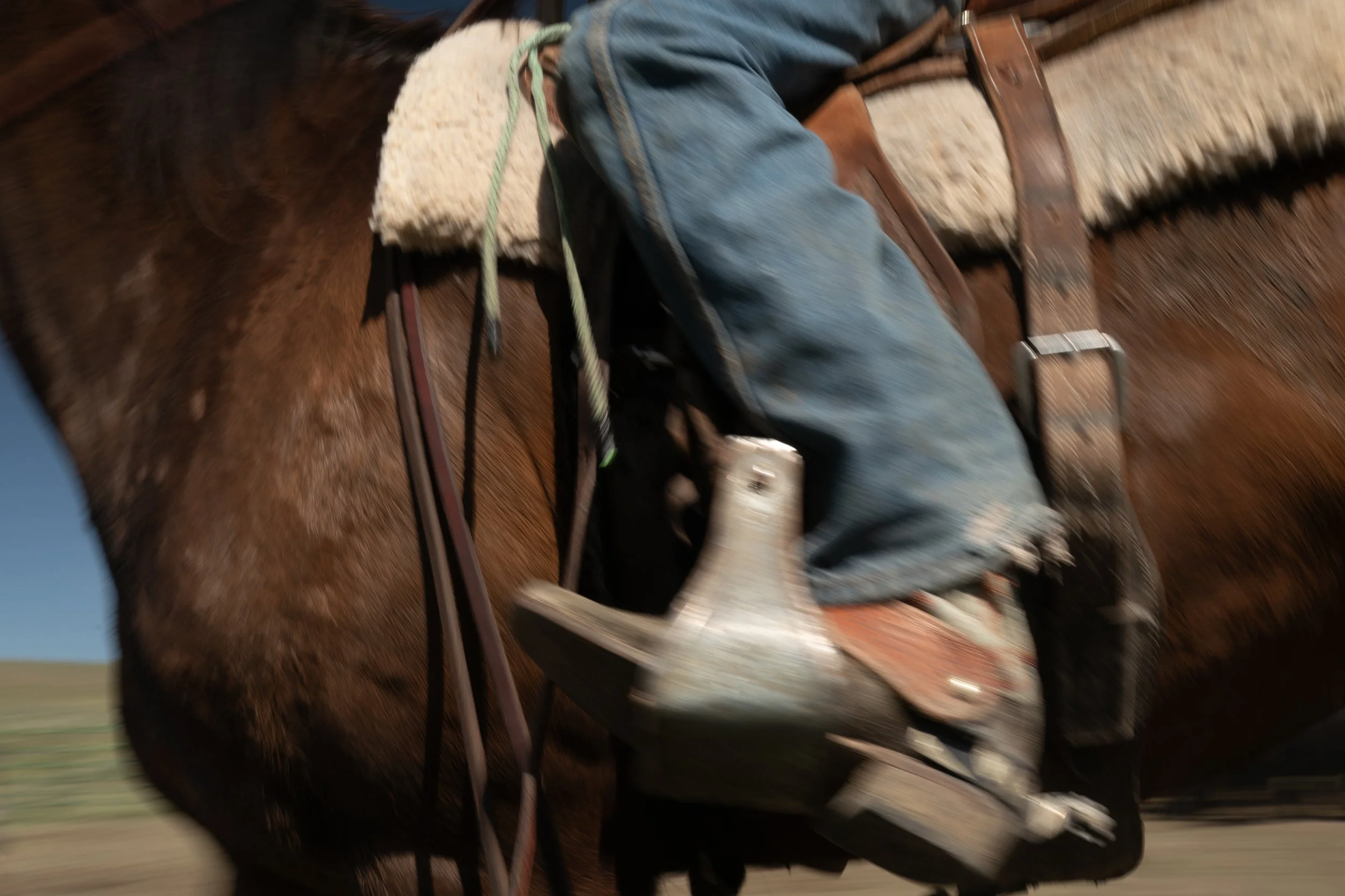 Photographs of buckaroos working on The Spanish Ranch in Tuscarora ...