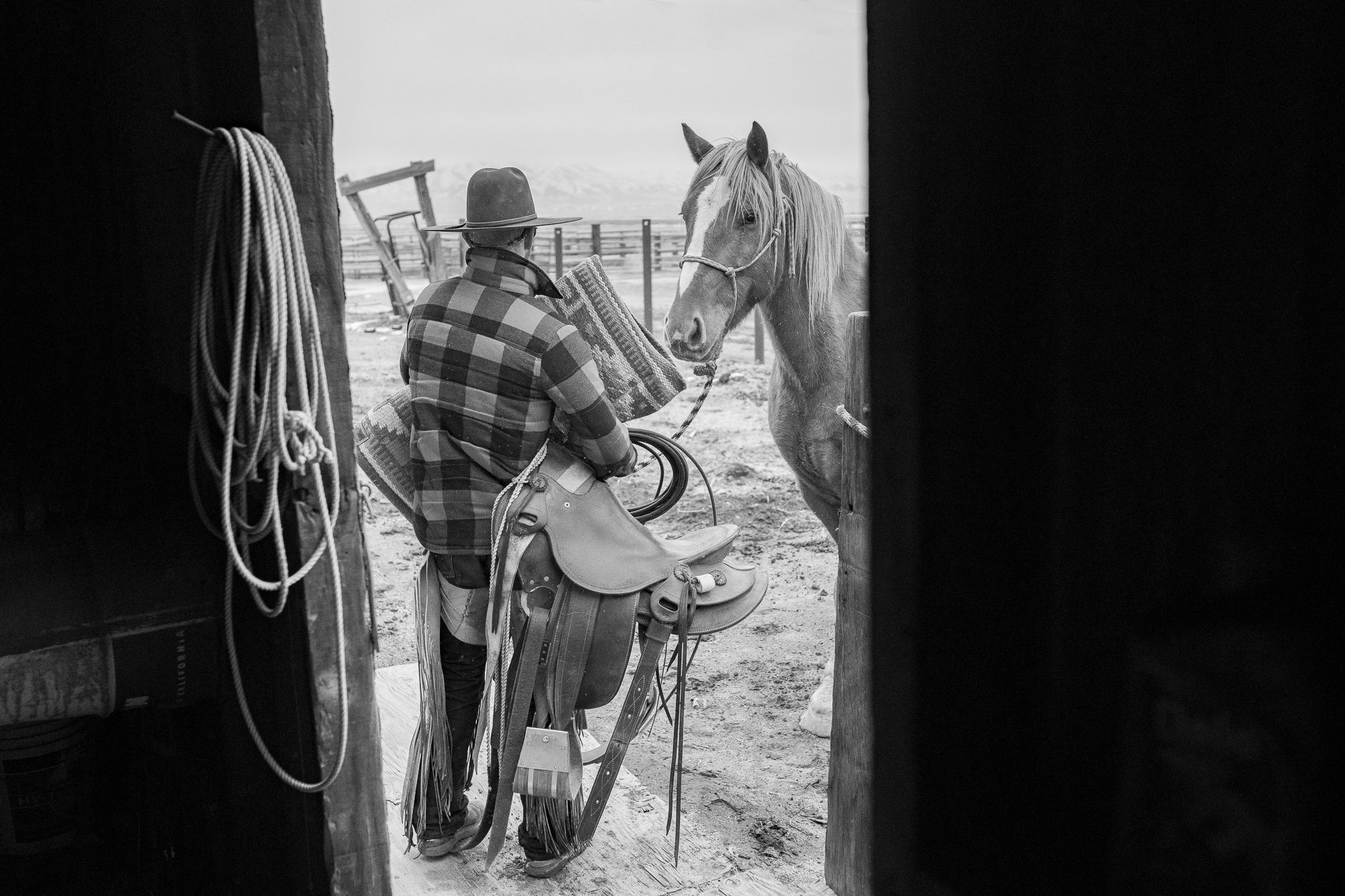 Rob Swane Ranch C-Punch Ranch Nevada Photos – Working Cowboys of the Great Basin — Rob ...
