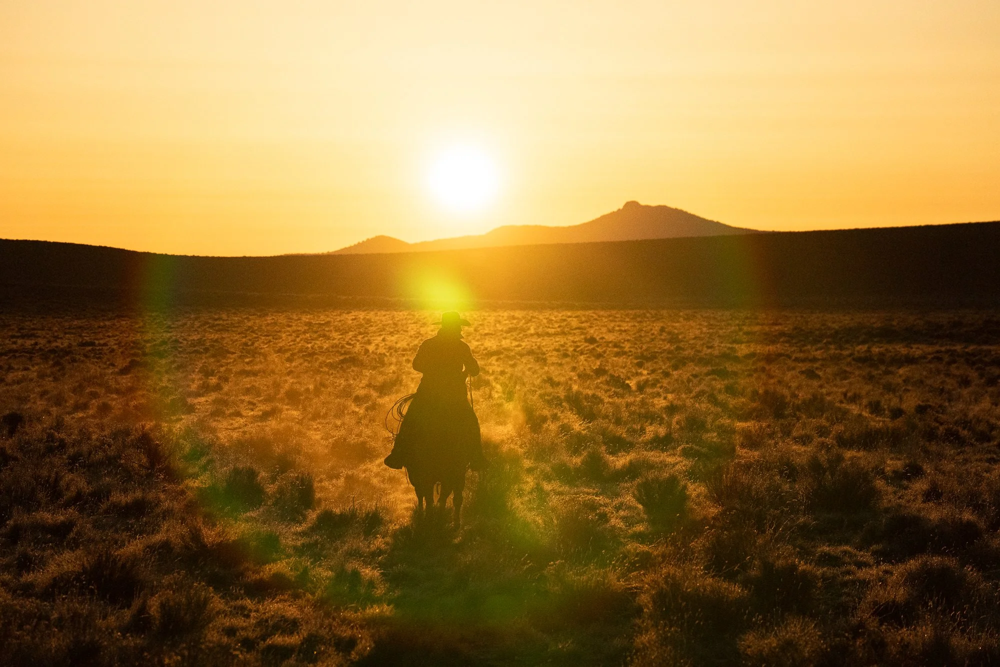 A cowboy rides through the high desert at sunset near the ZX Ranch in southeastern Oregon
