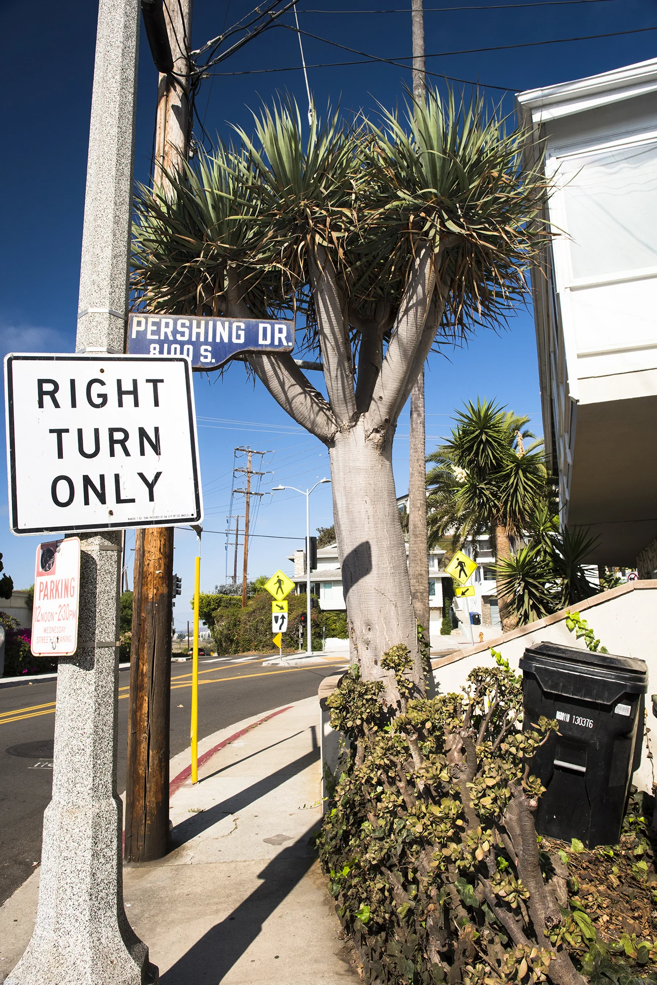 Playa Del Rey