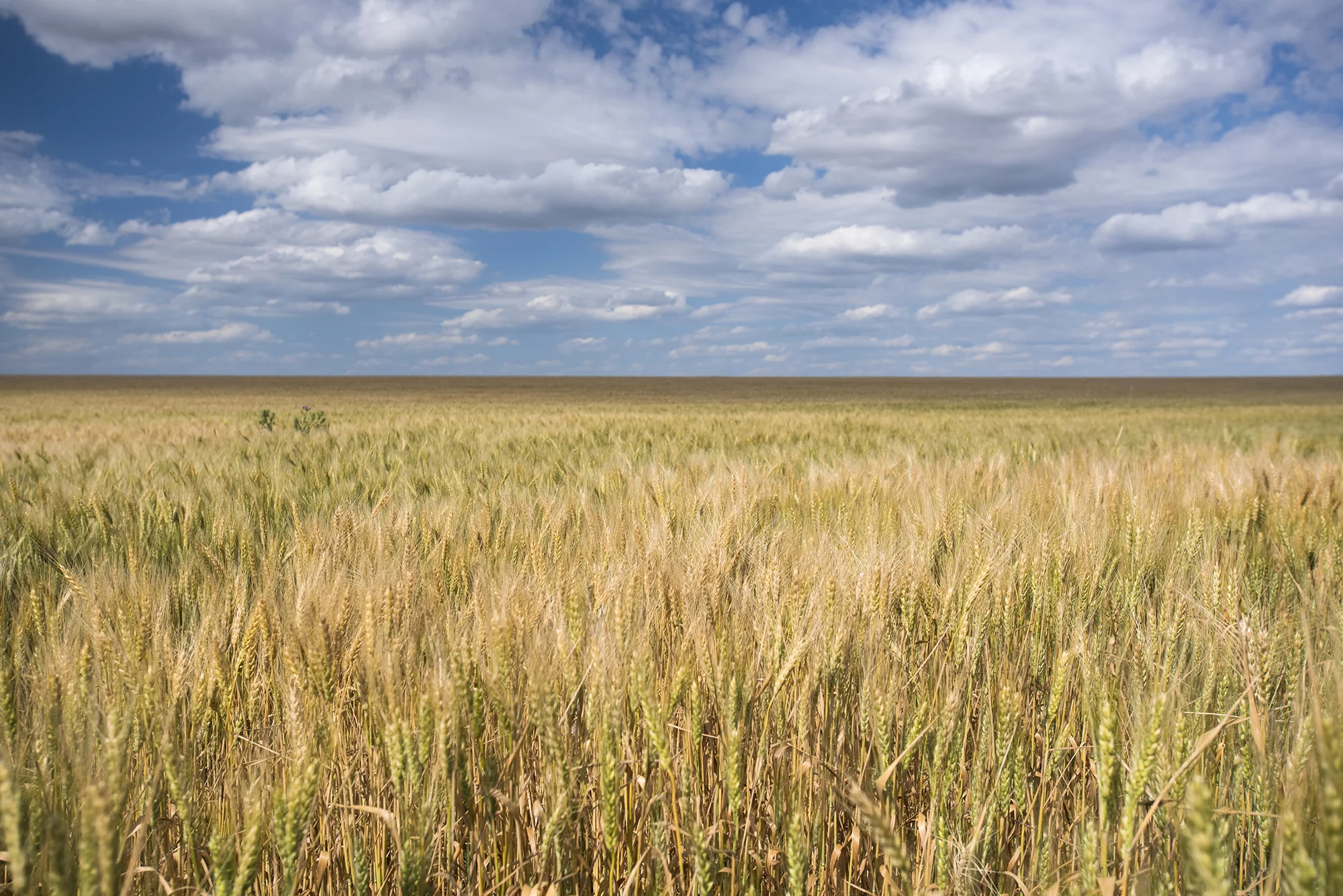 South Dakota - 2016