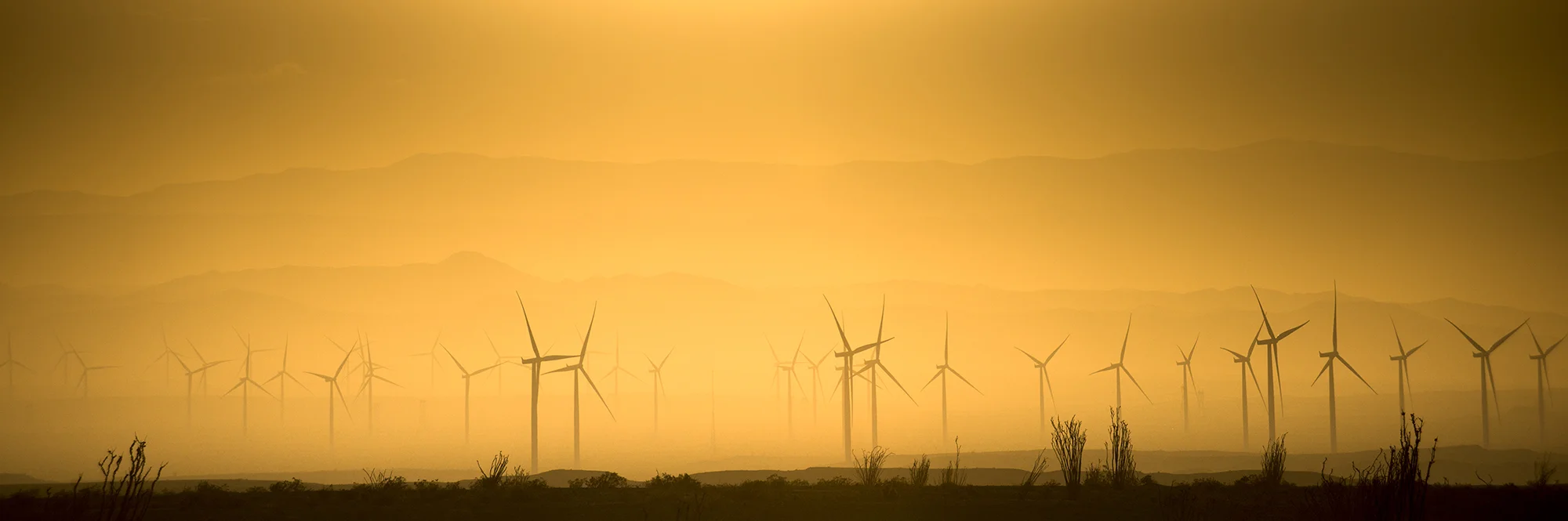 California - 2015