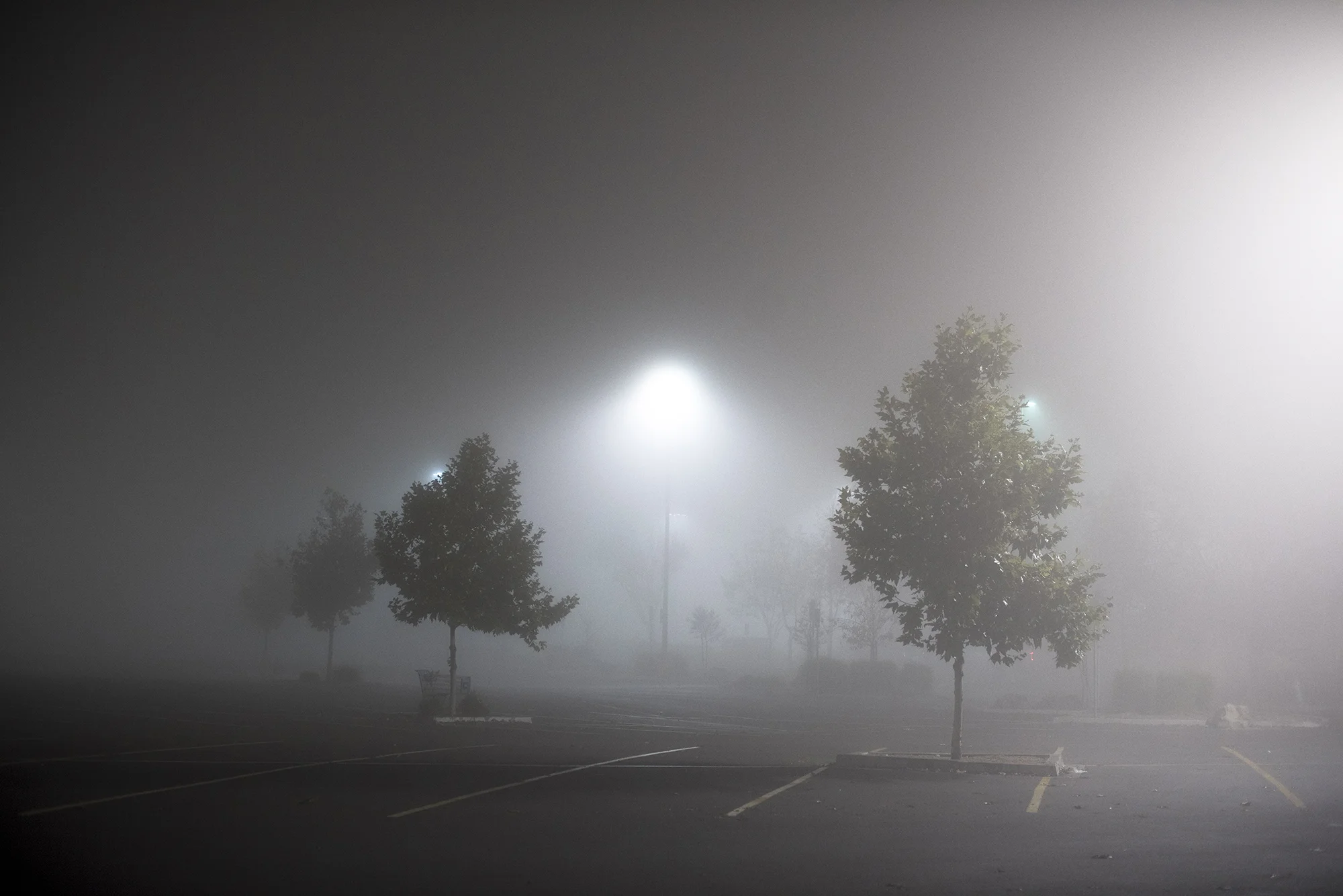 California - 2018